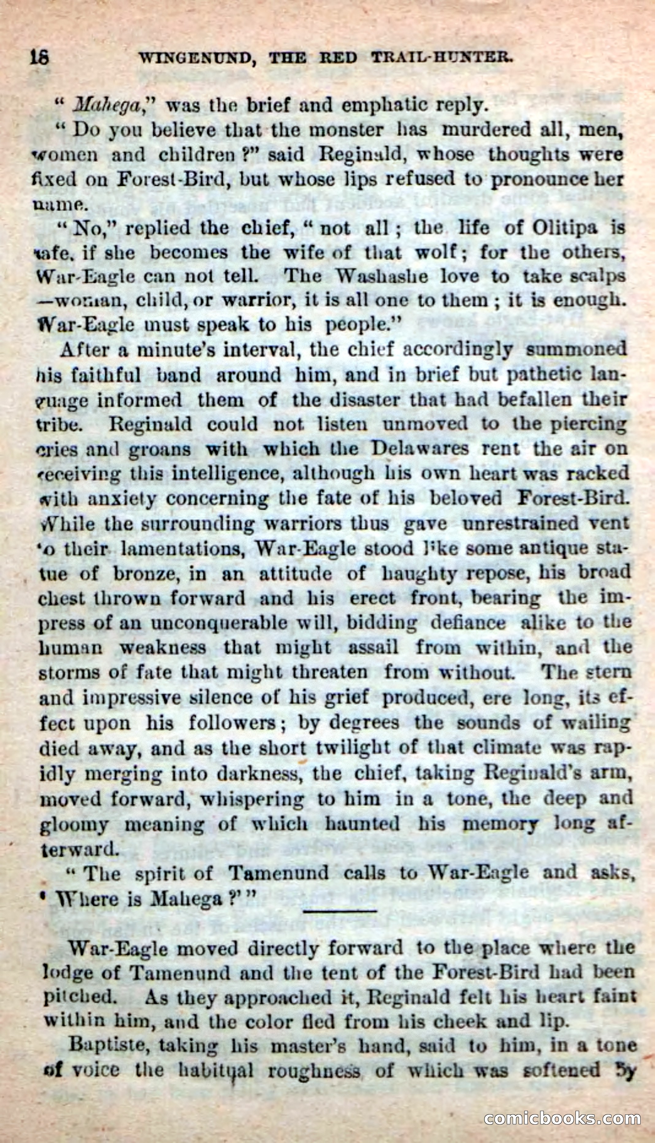 Beadle's New Dime Novels: Wingenund — page 14 of 101