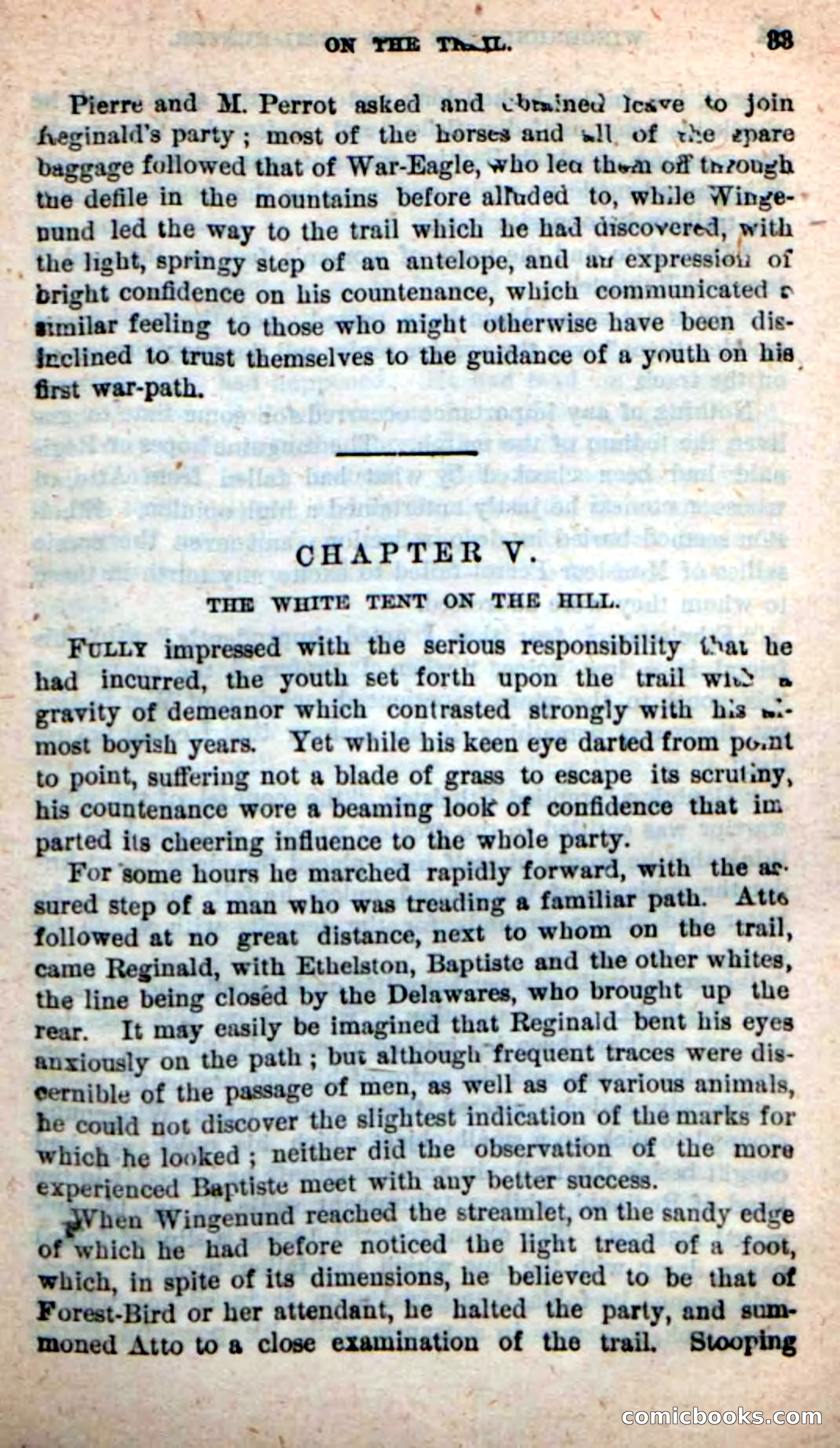 Beadle's New Dime Novels: Wingenund — page 29 of 101