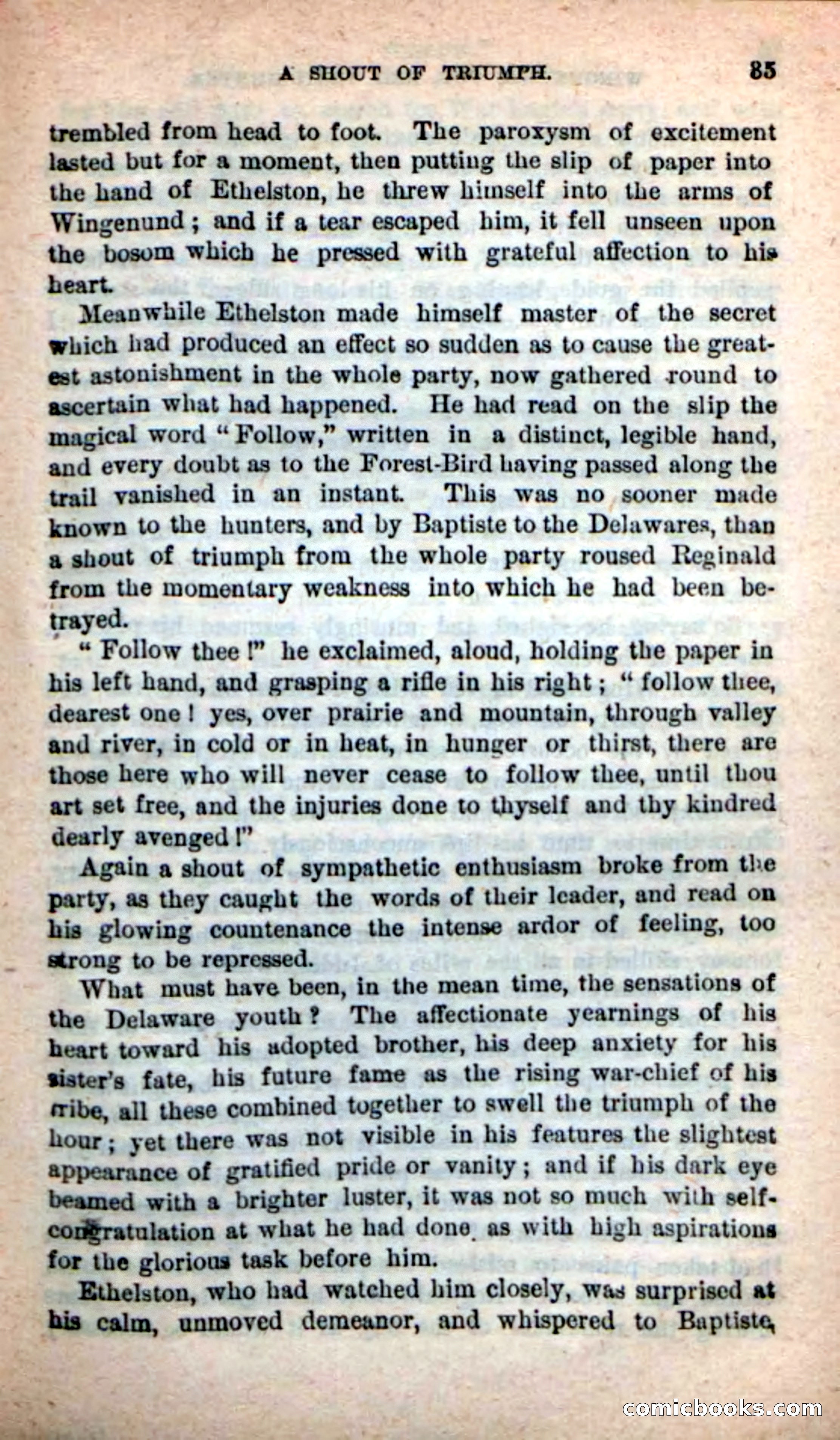 Beadle's New Dime Novels: Wingenund — page 31 of 101