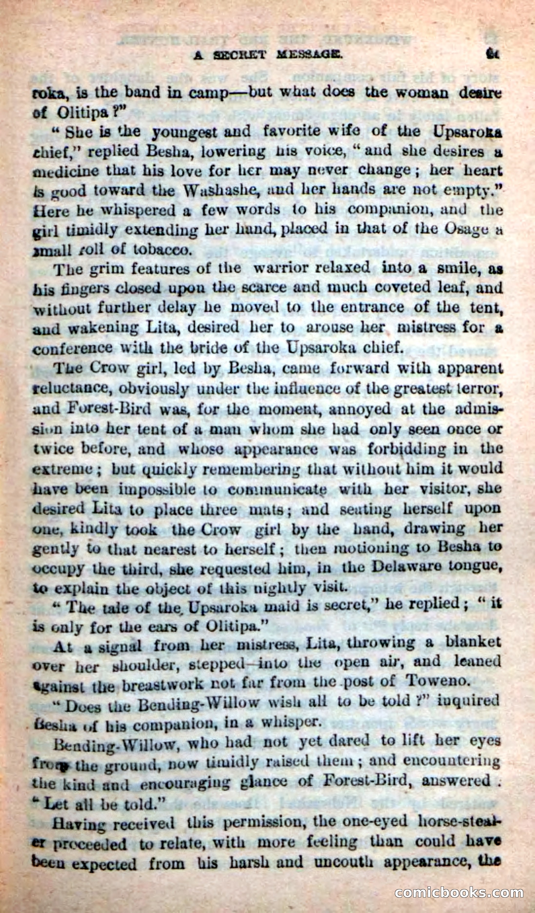Beadle's New Dime Novels: Wingenund — page 38 of 101