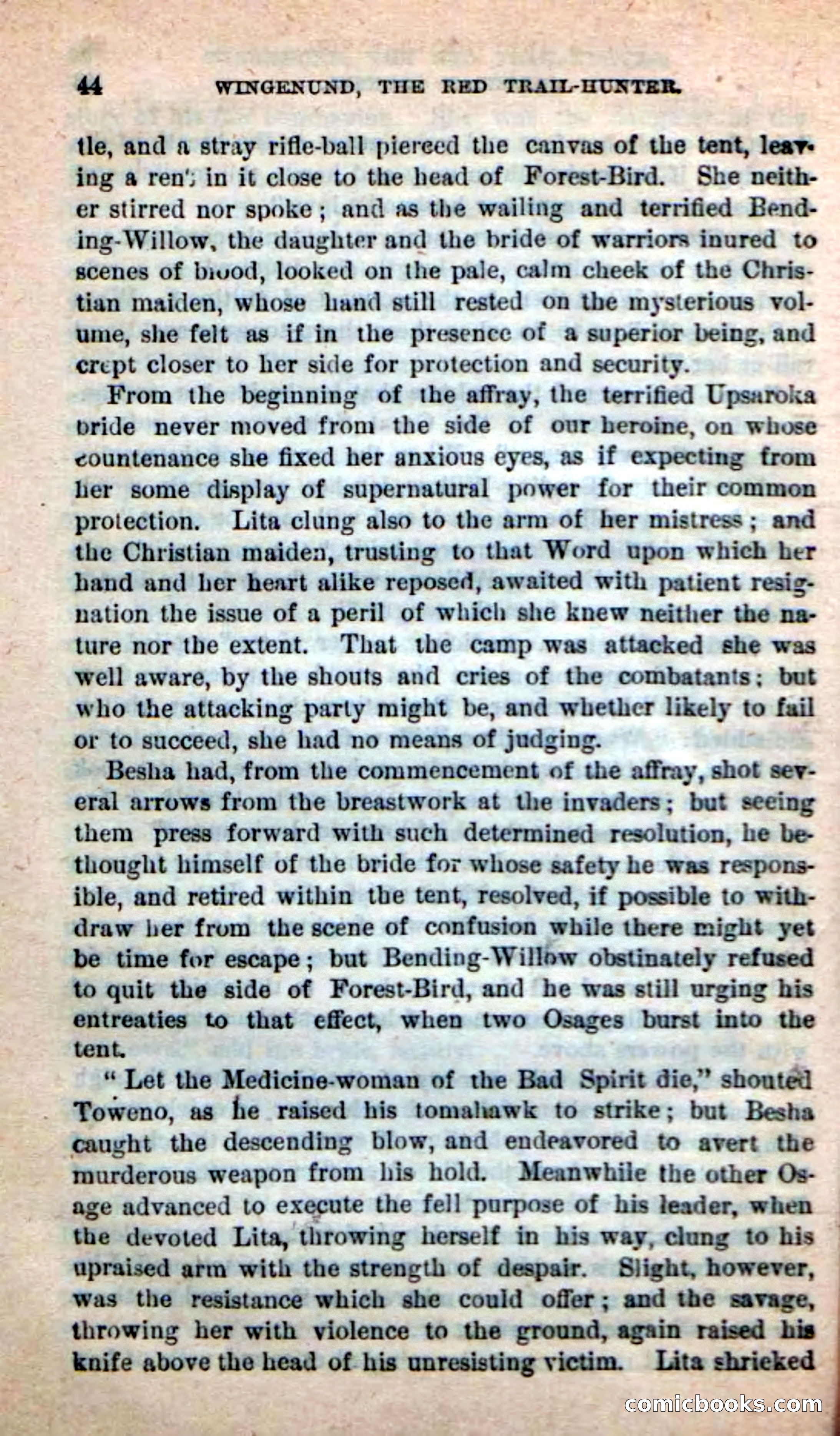 Beadle's New Dime Novels: Wingenund — page 41 of 101