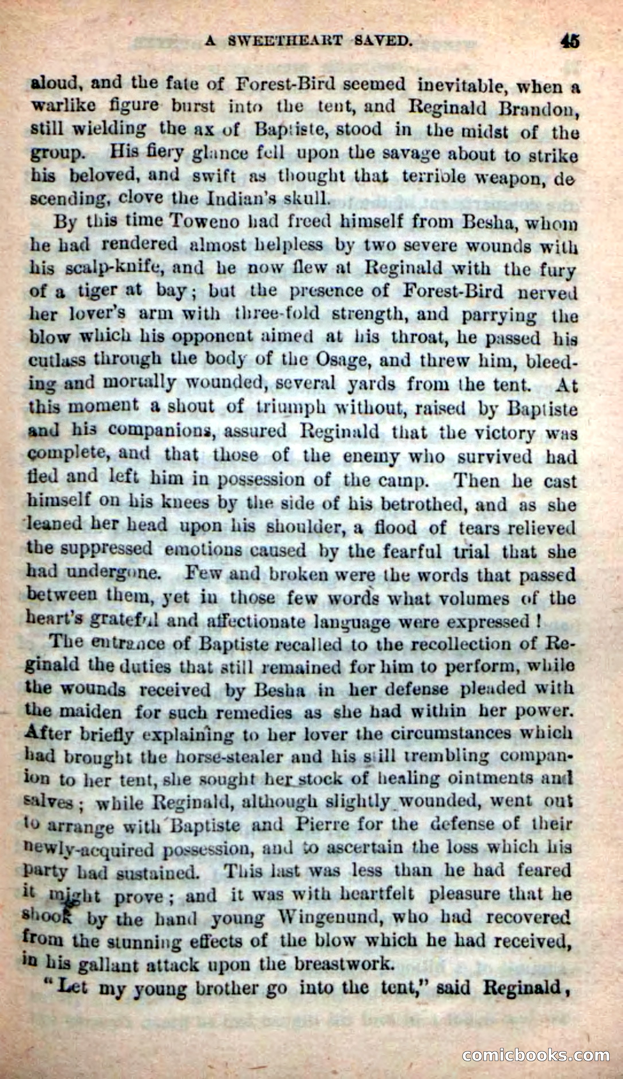 Beadle's New Dime Novels: Wingenund — page 42 of 101