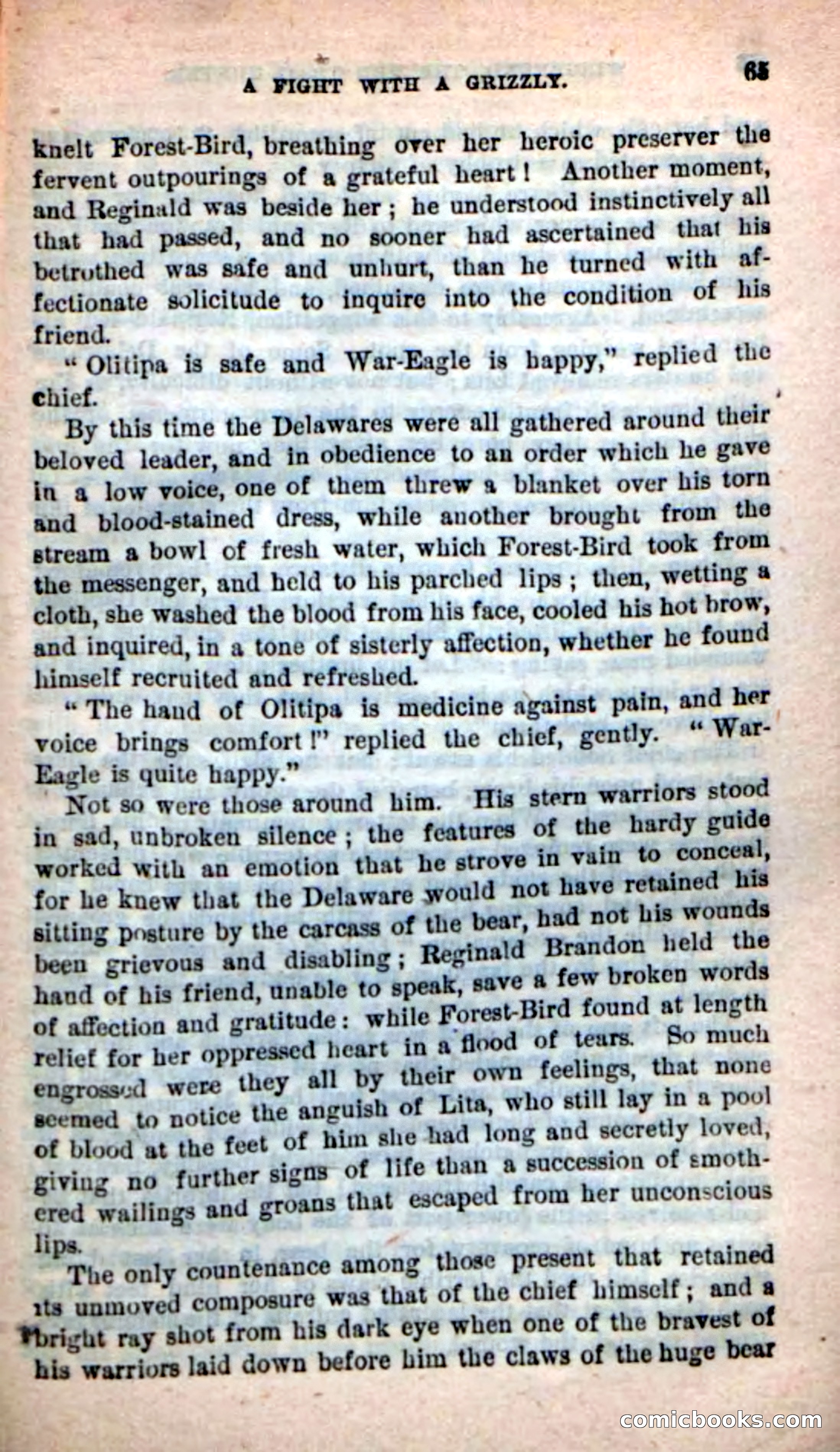 Beadle's New Dime Novels: Wingenund — page 62 of 101