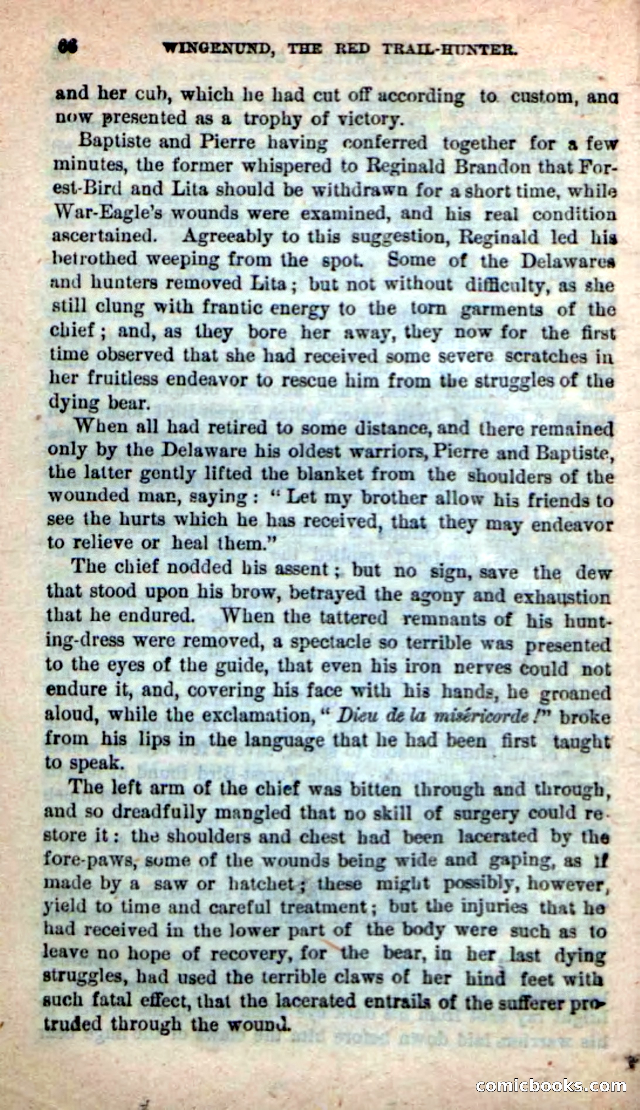 Beadle's New Dime Novels: Wingenund — page 63 of 101