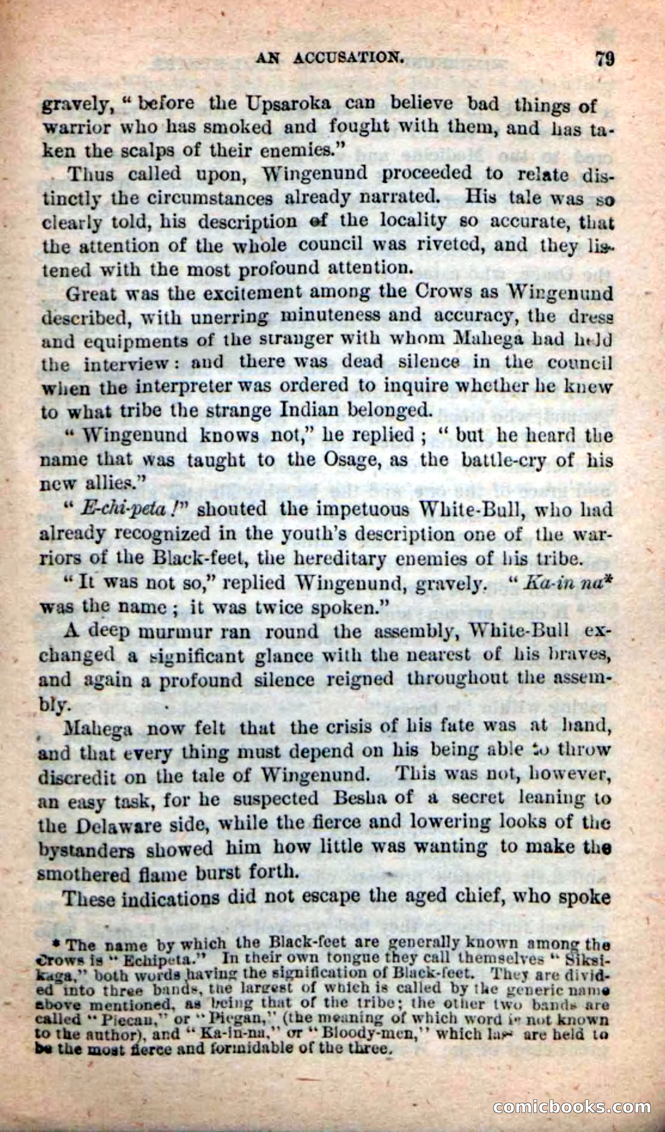 Beadle's New Dime Novels: Wingenund — page 76 of 101