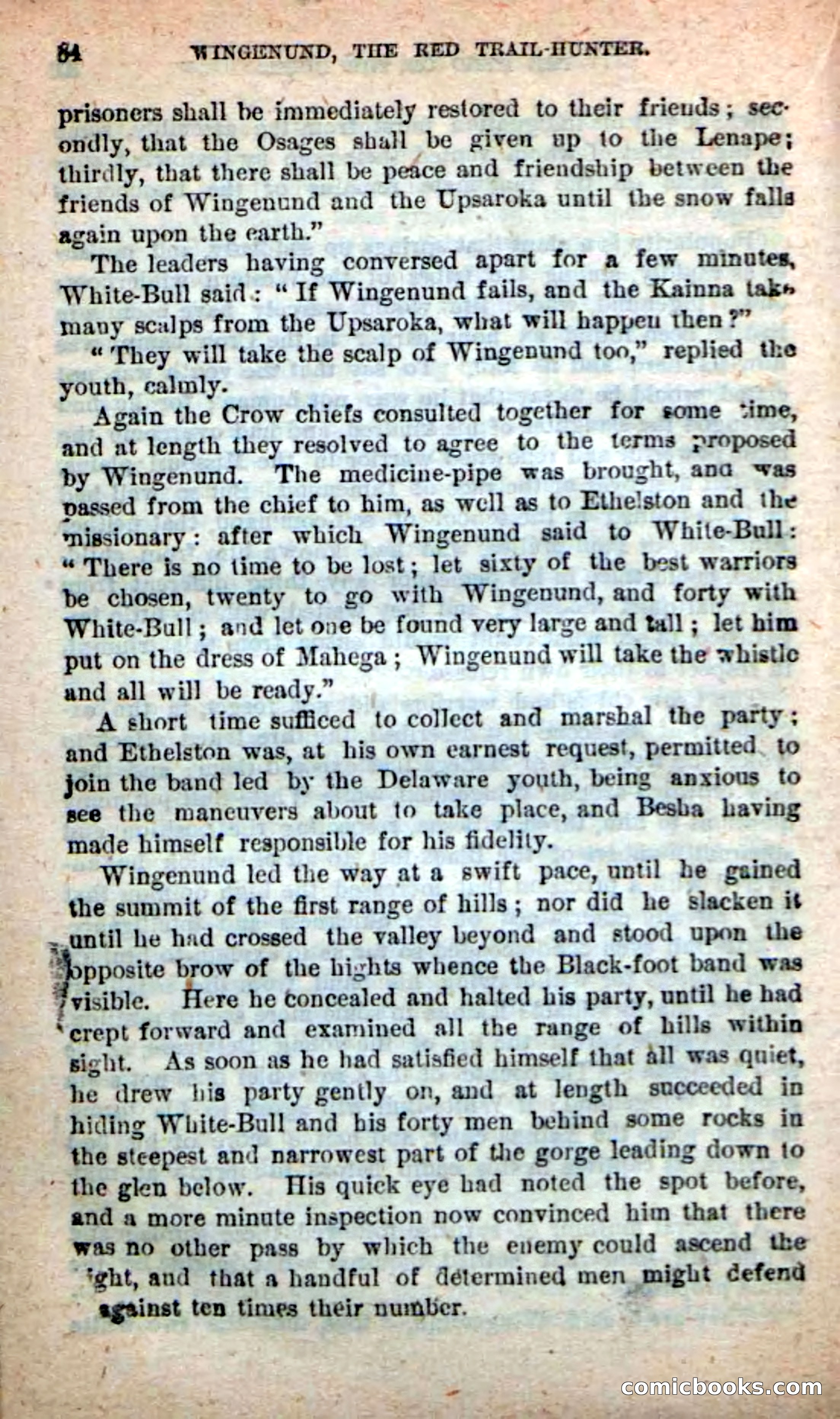 Beadle's New Dime Novels: Wingenund — page 81 of 101