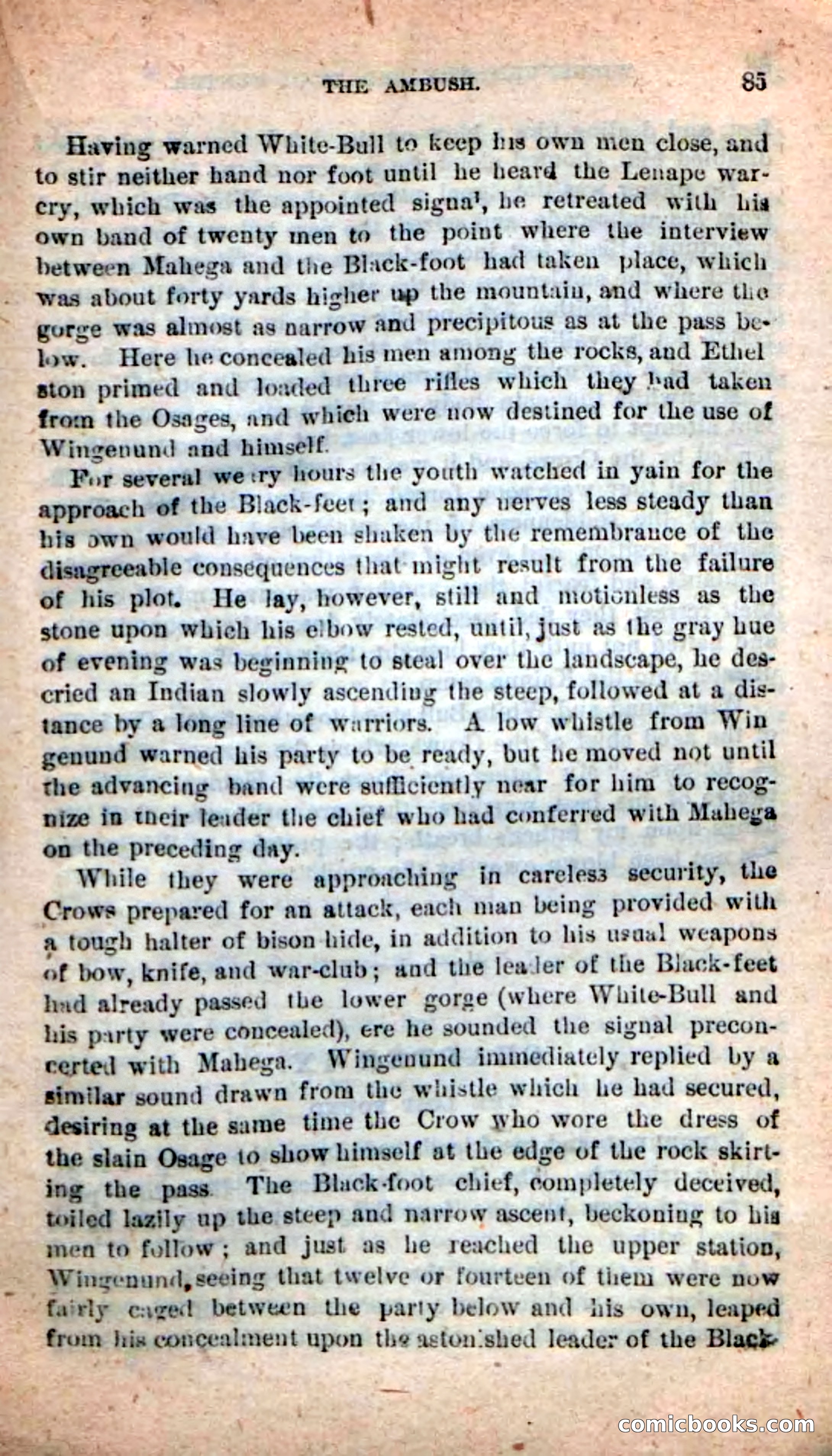 Beadle's New Dime Novels: Wingenund — page 82 of 101