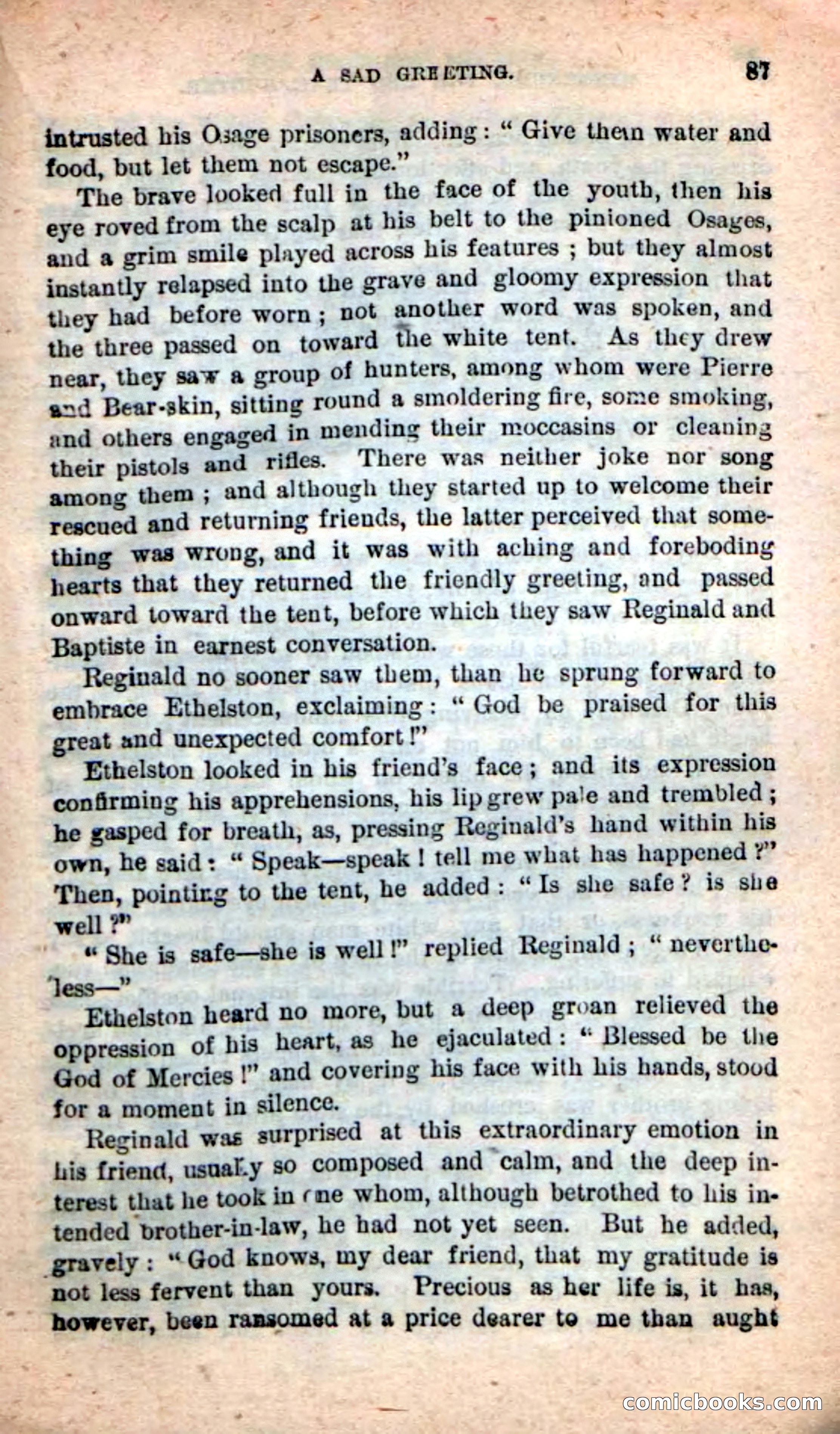 Beadle's New Dime Novels: Wingenund — page 84 of 101