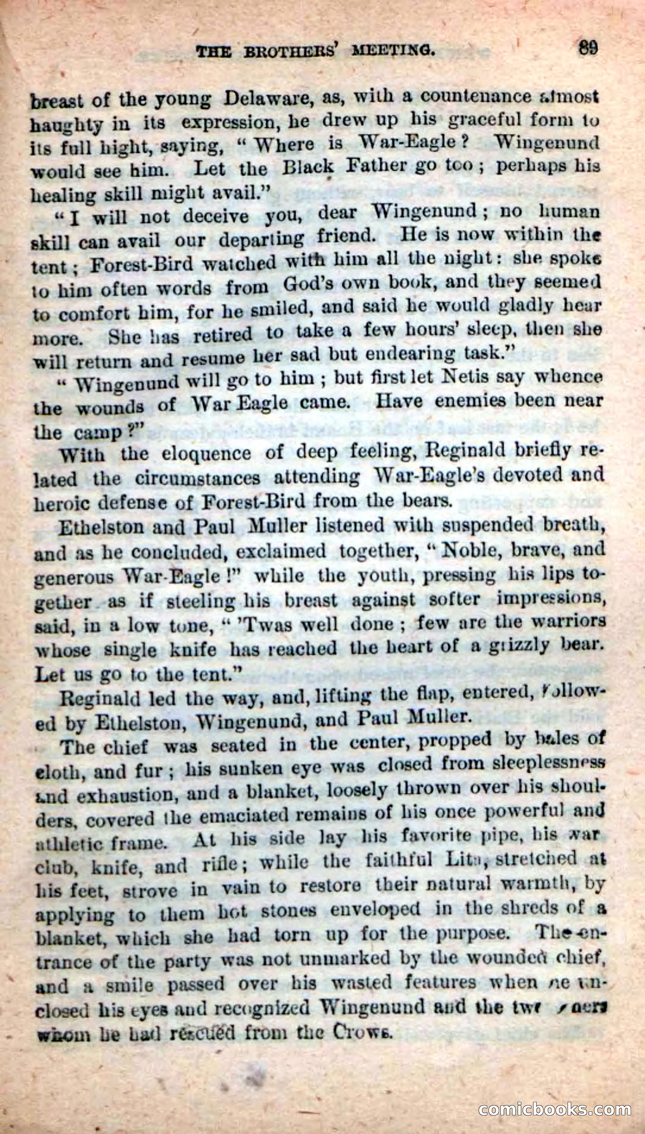 Beadle's New Dime Novels: Wingenund — page 86 of 101