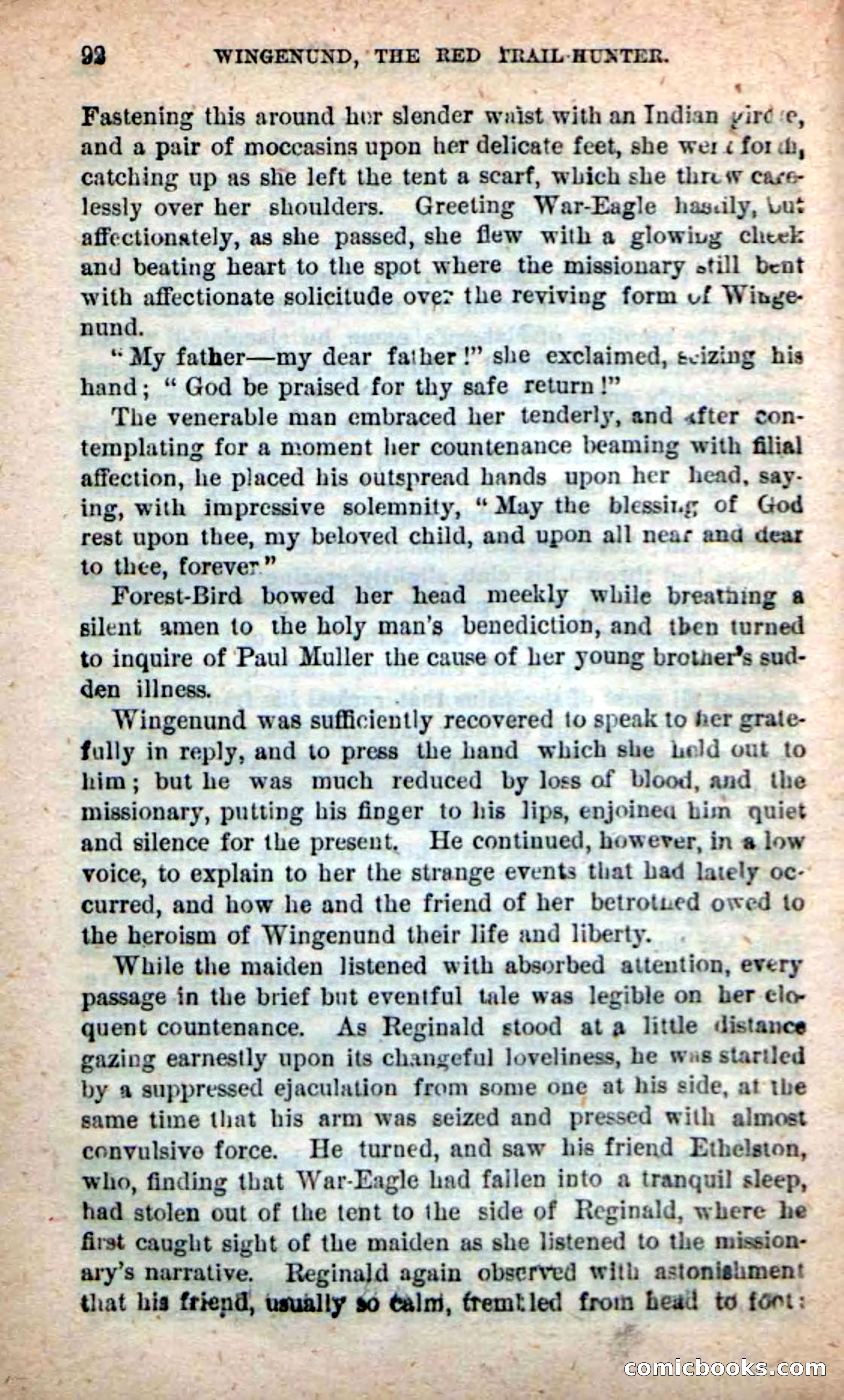 Beadle's New Dime Novels: Wingenund — page 89 of 101