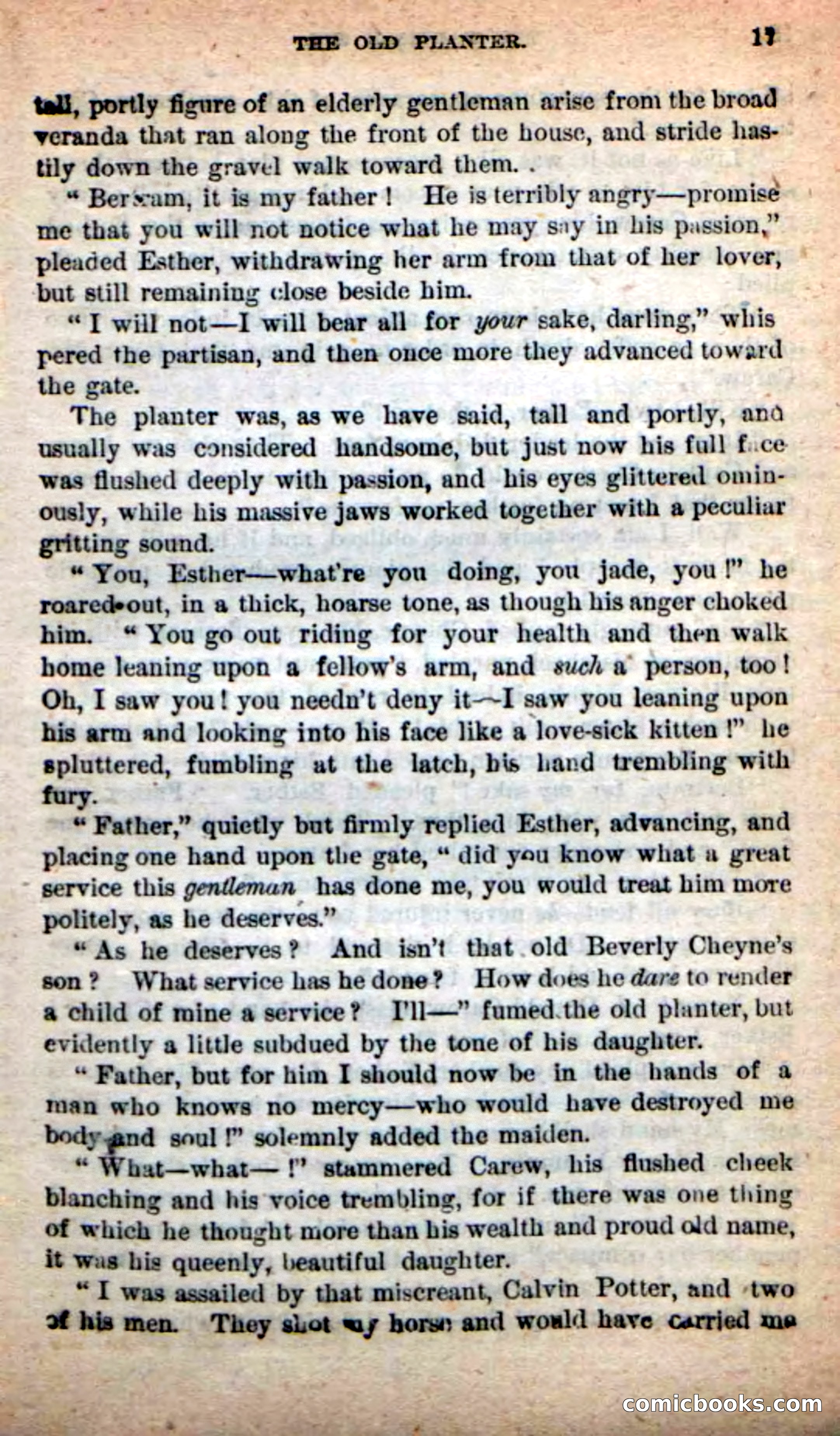 The Partisan Spy — page 13 of 100