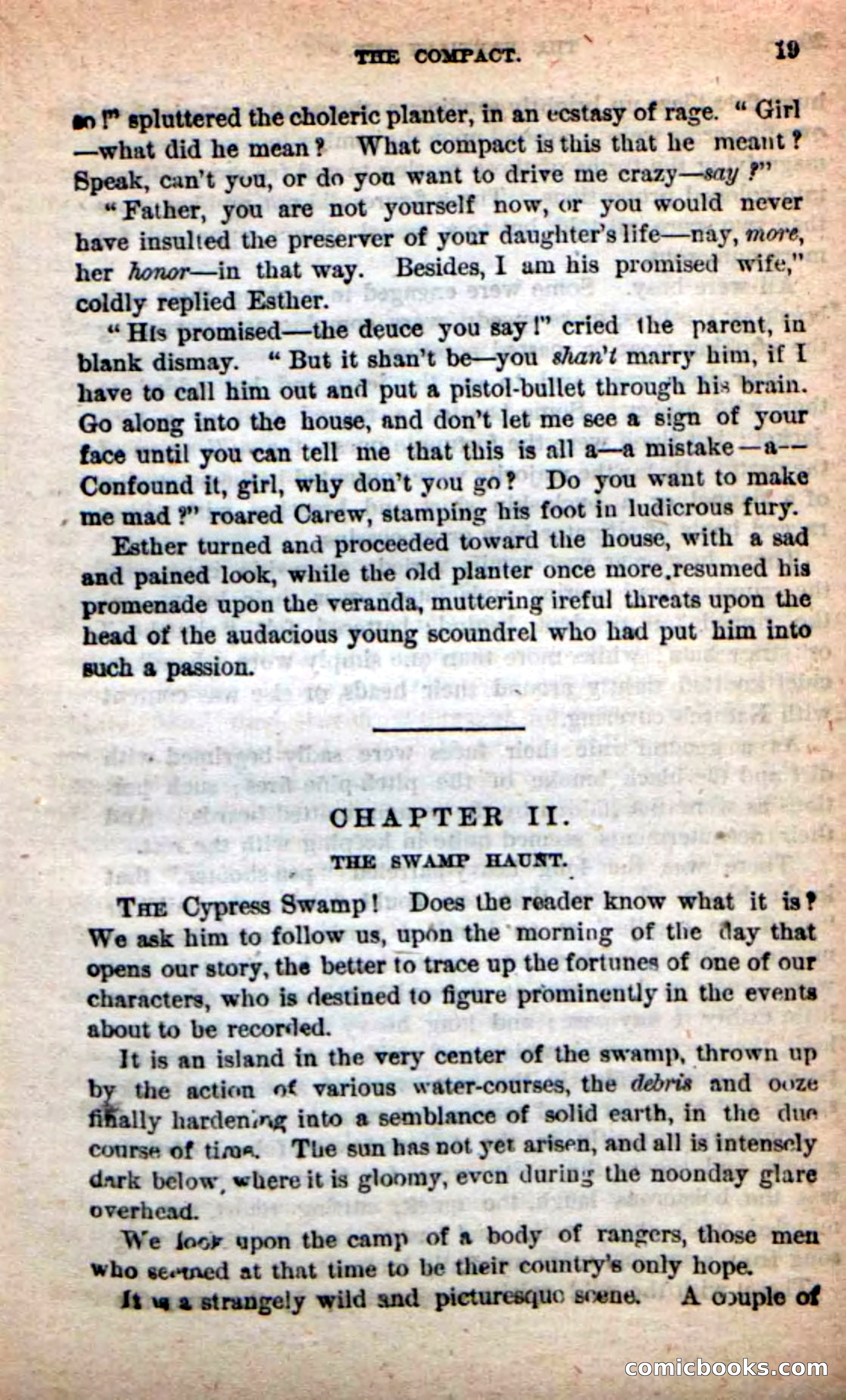 The Partisan Spy — page 15 of 100