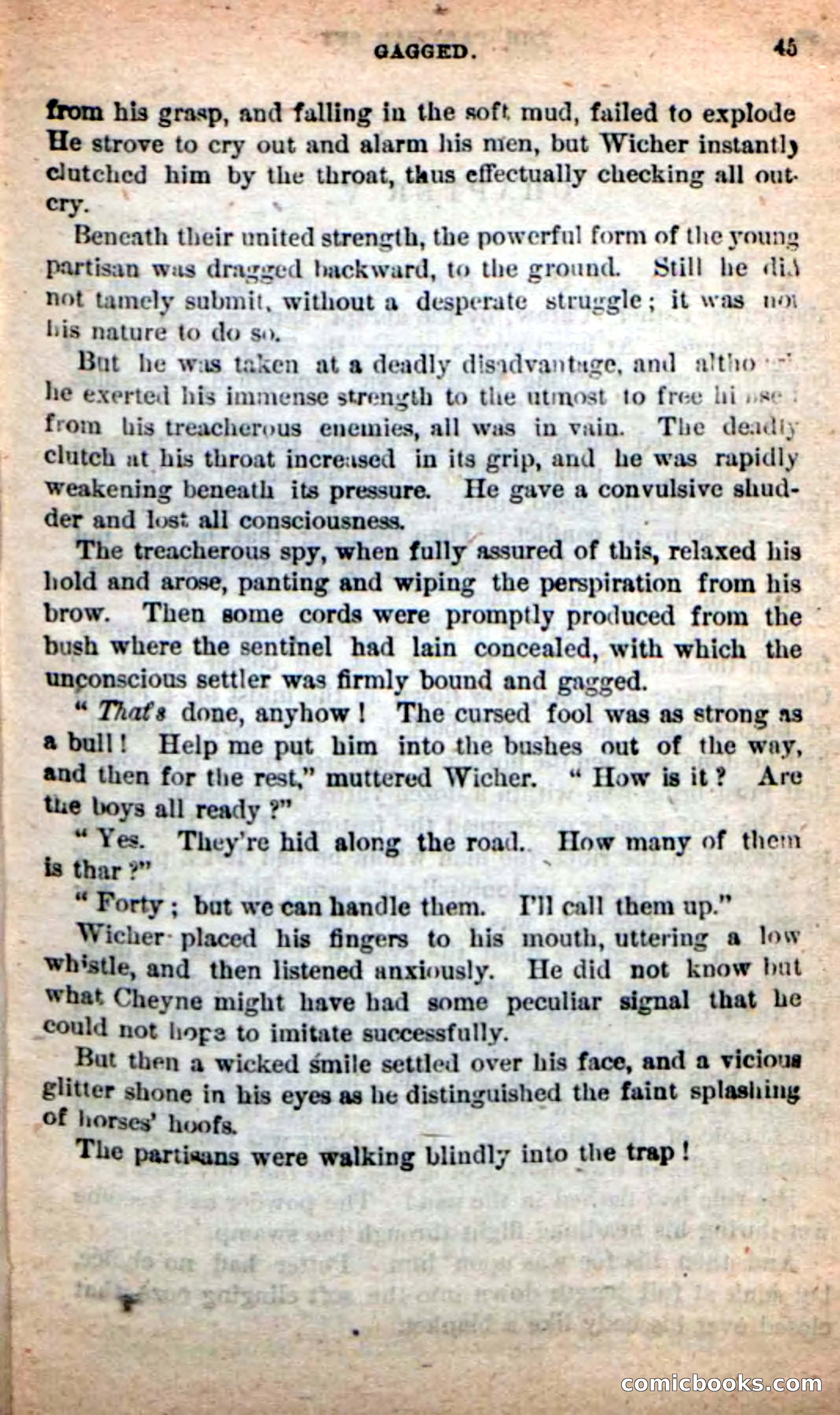 The Partisan Spy — page 41 of 100