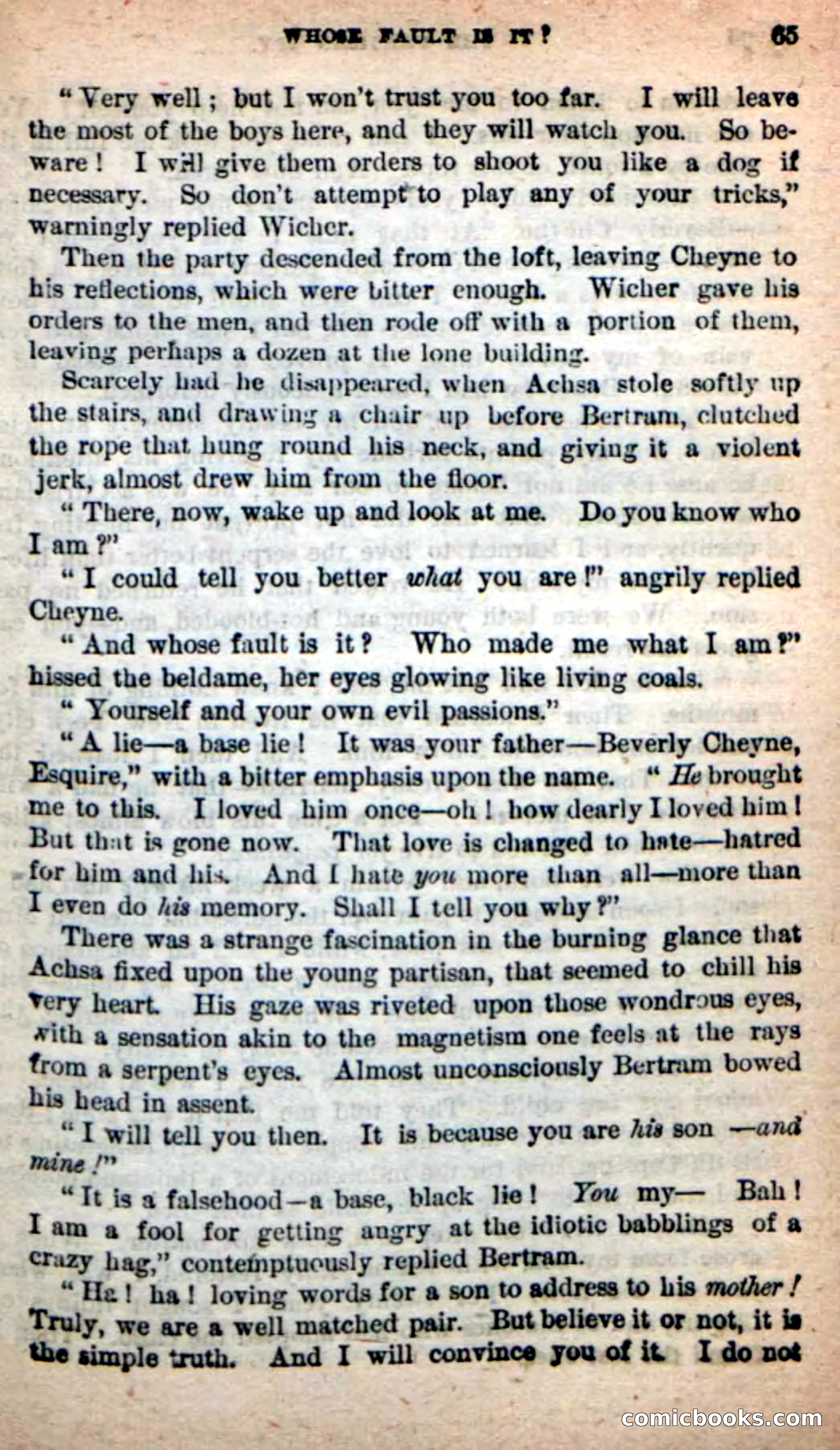 The Partisan Spy — page 61 of 100