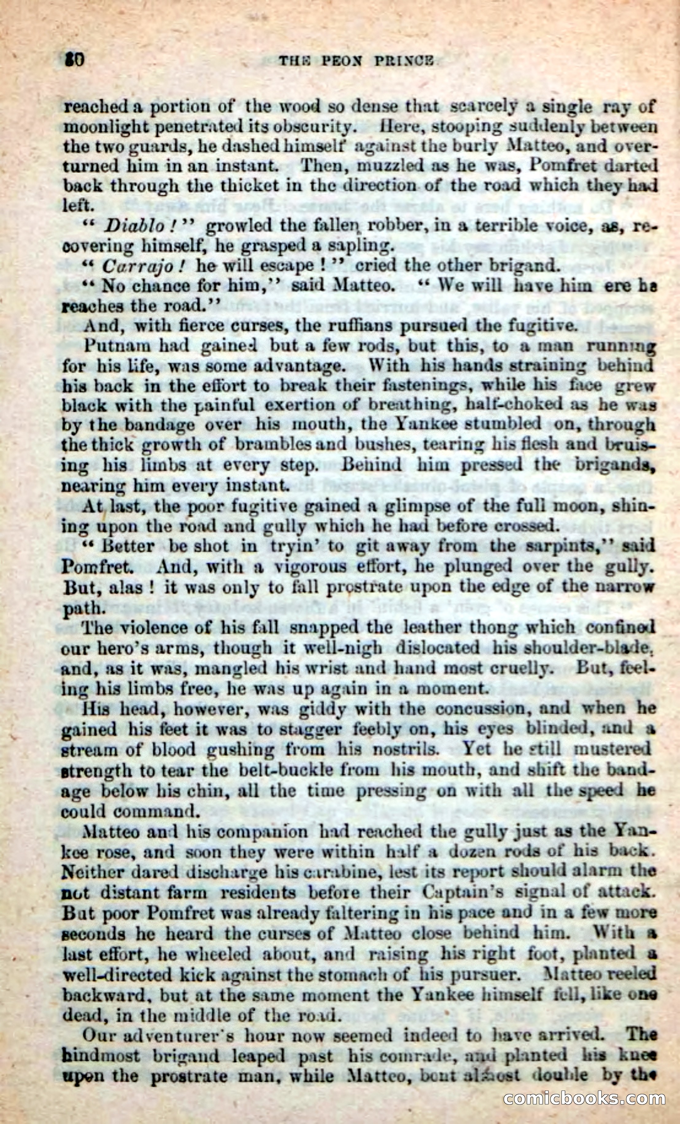 The Peon Prince — page 26 of 100