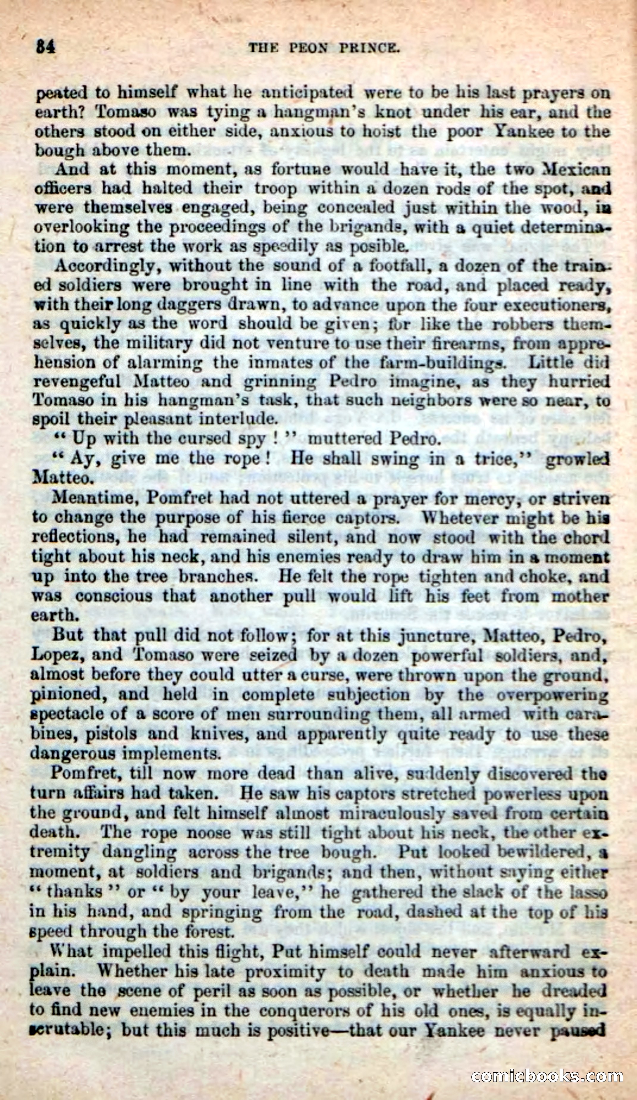 The Peon Prince — page 30 of 100