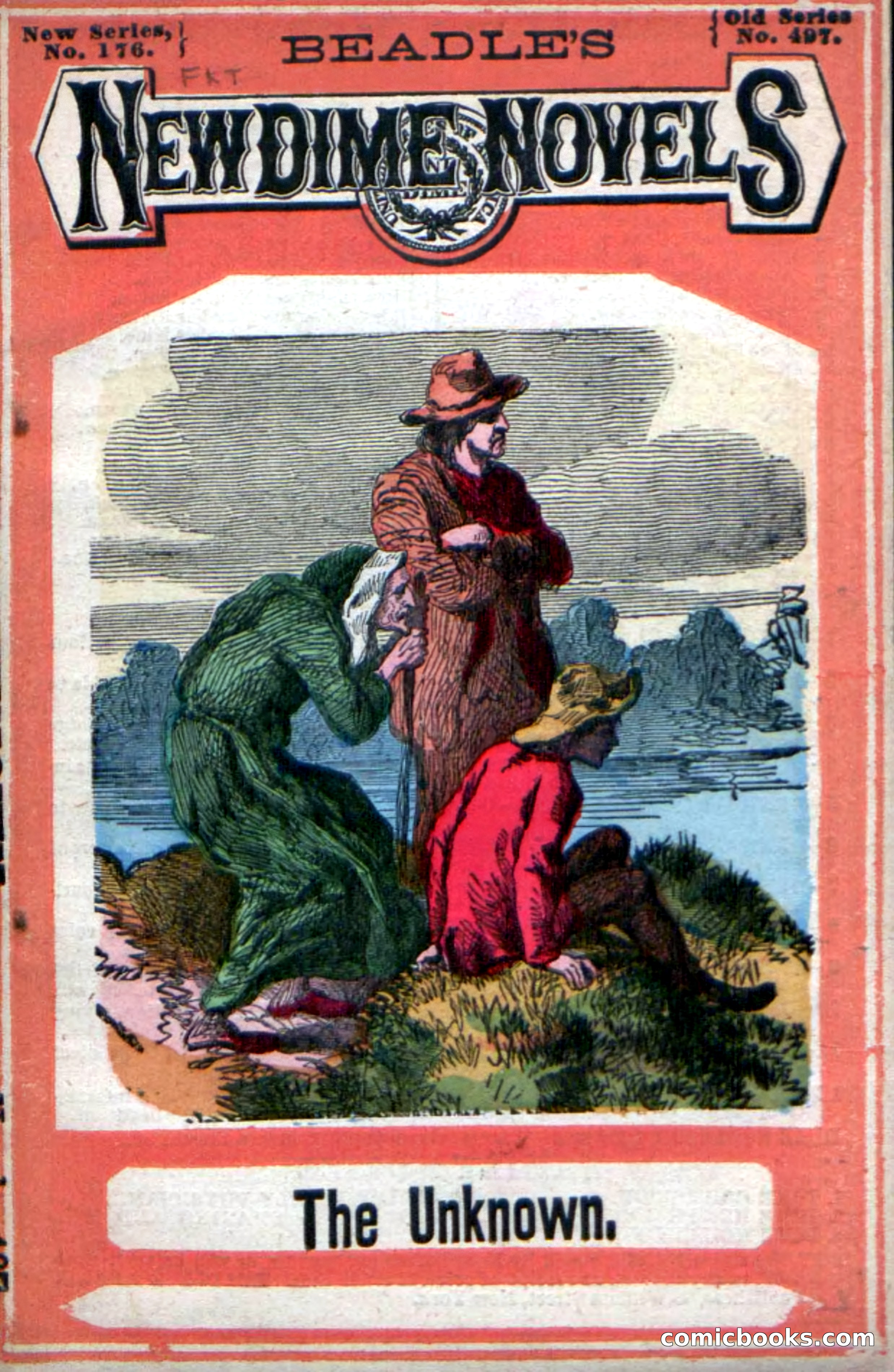 Beadle's New Dime Novels: The Unknown
