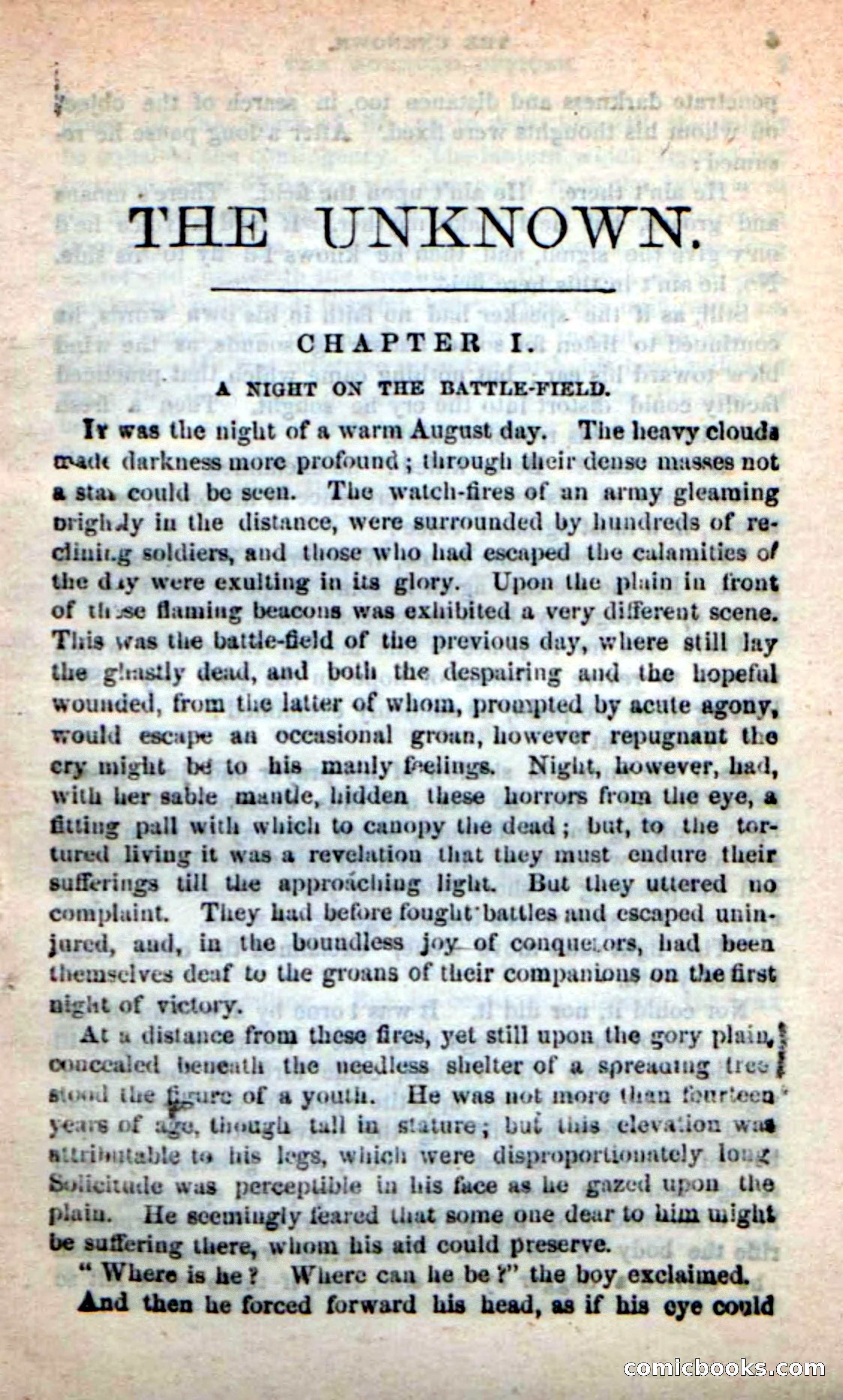 Beadle's New Dime Novels: The Unknown — page 5 of 121
