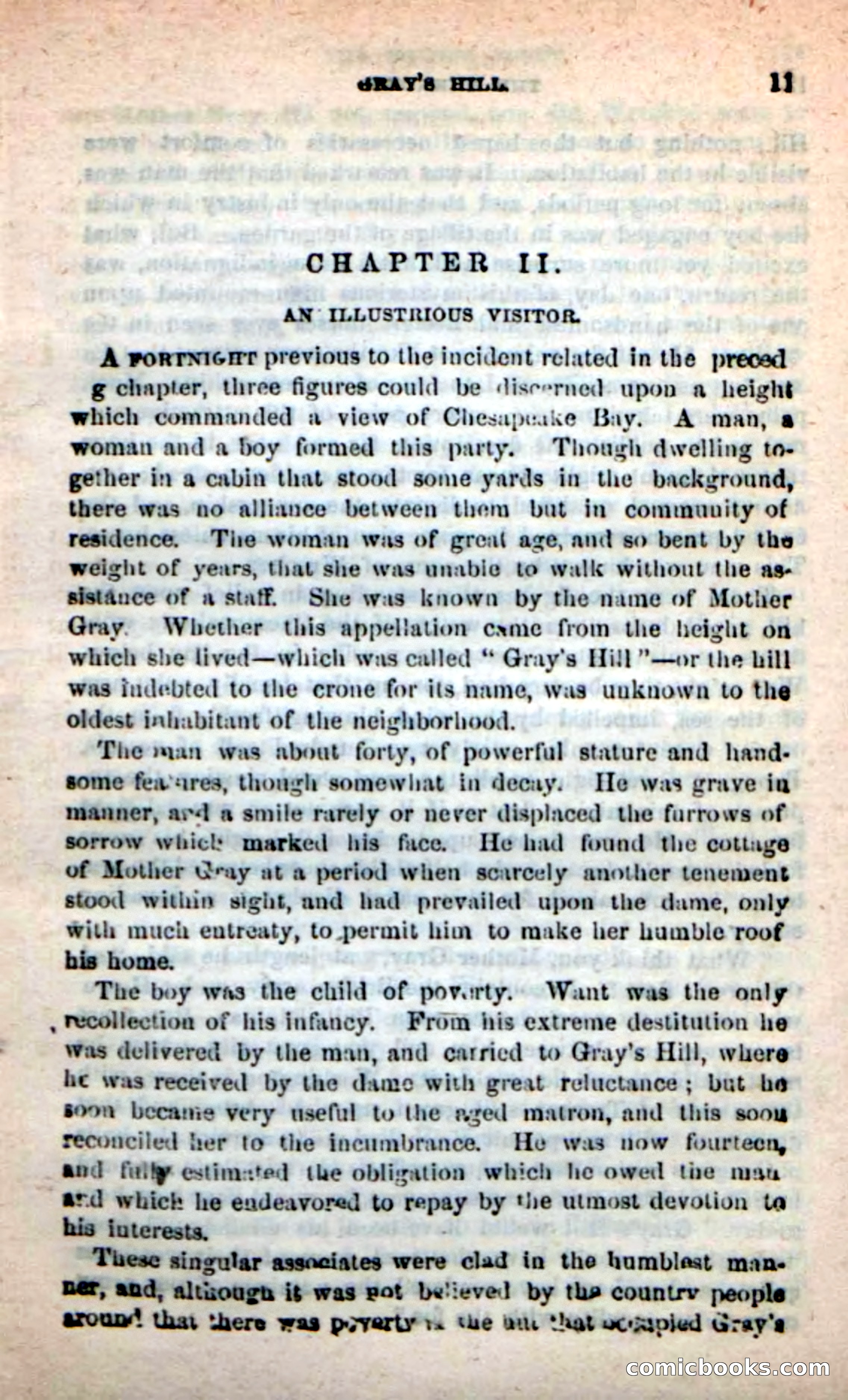 Beadle's New Dime Novels: The Unknown — page 11 of 121