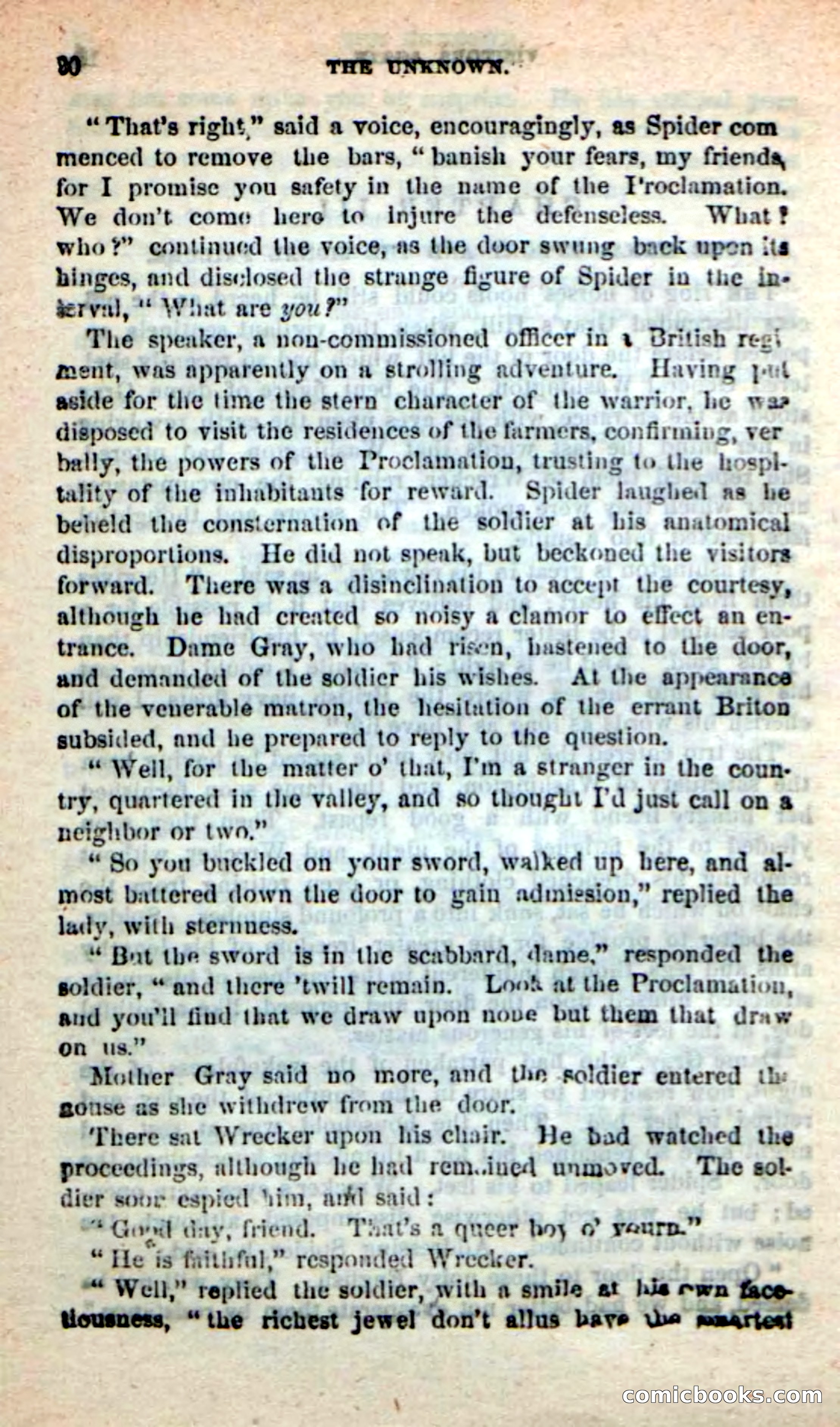 Beadle's New Dime Novels: The Unknown — page 20 of 121