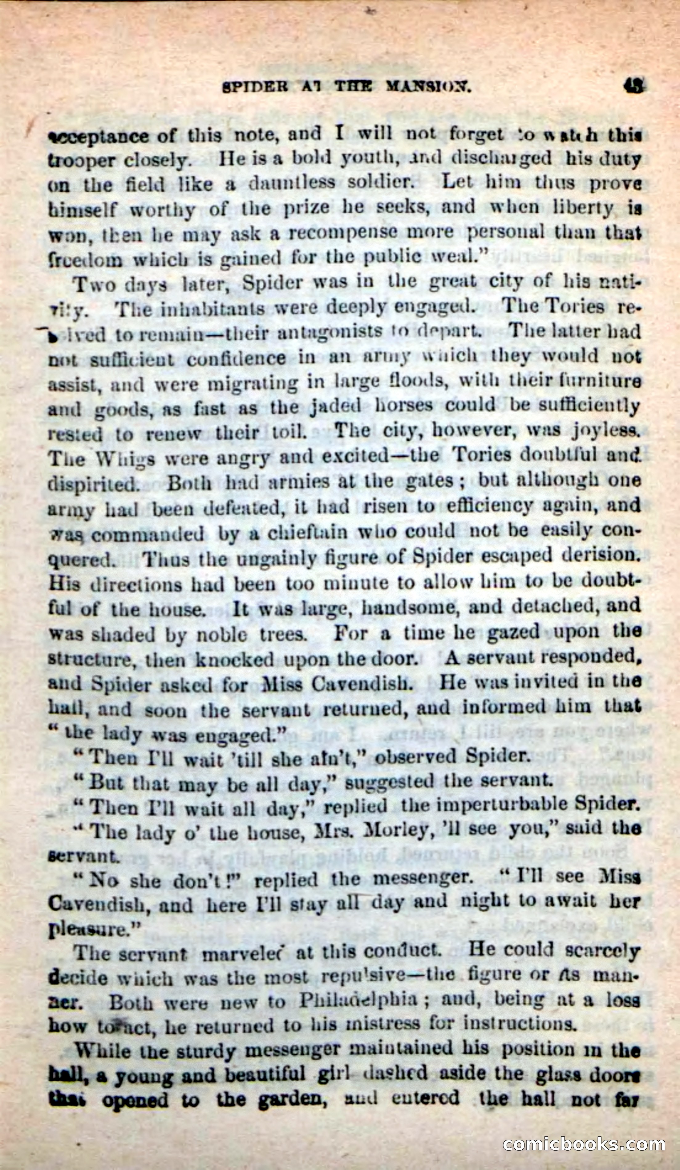 Beadle's New Dime Novels: The Unknown — page 43 of 121