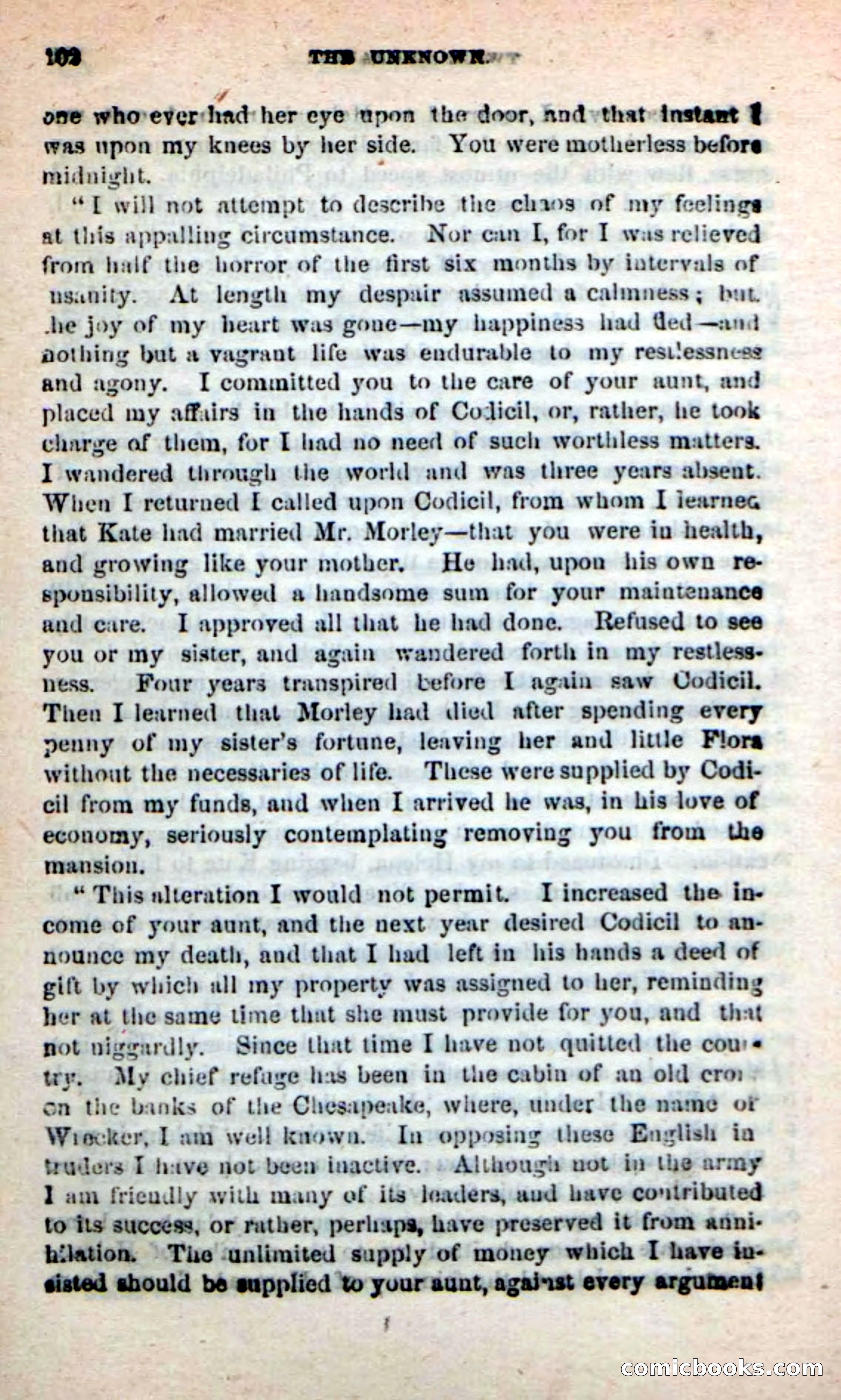 Beadle's New Dime Novels: The Unknown — page 102 of 121
