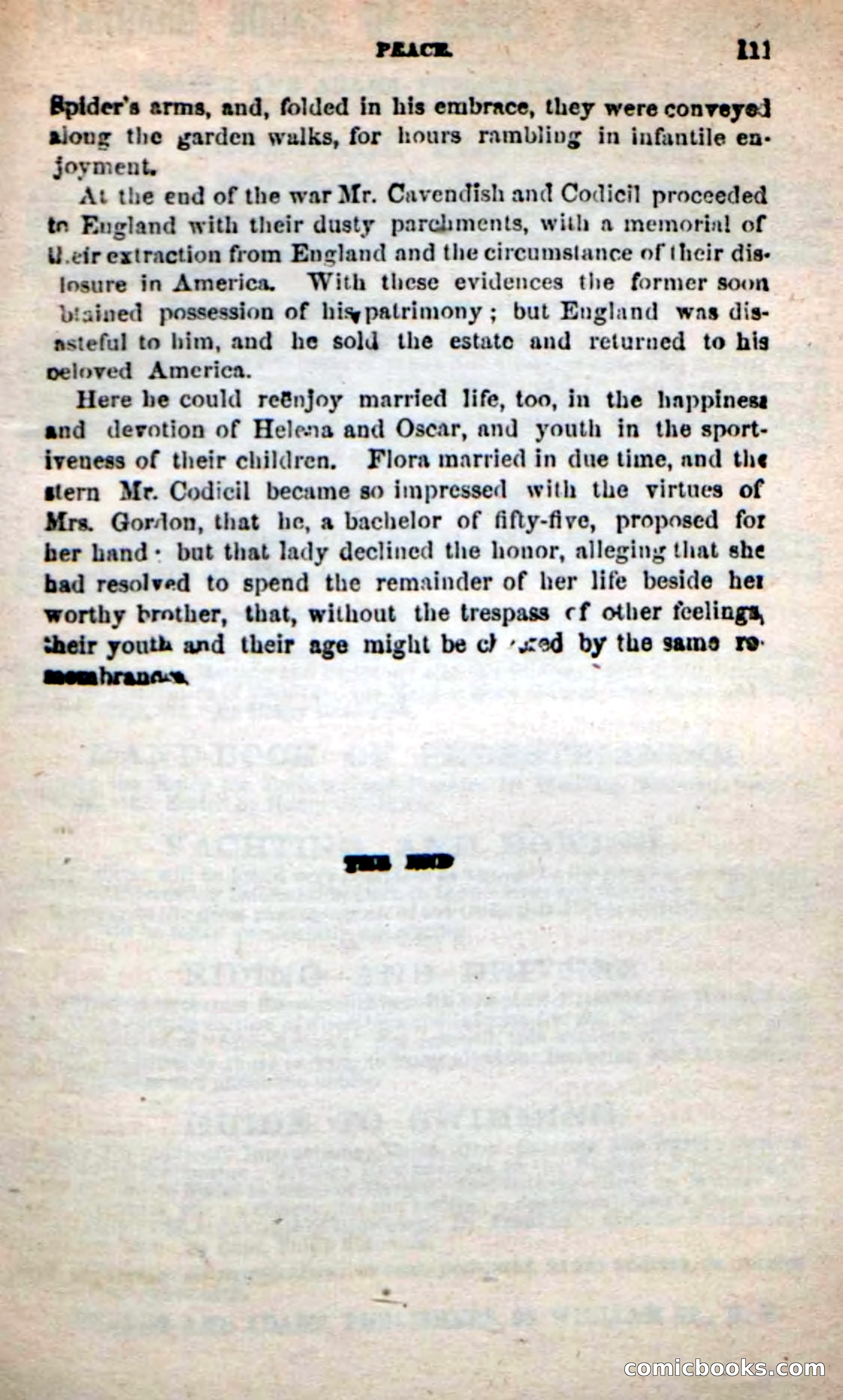 Beadle's New Dime Novels: The Unknown — page 109 of 121