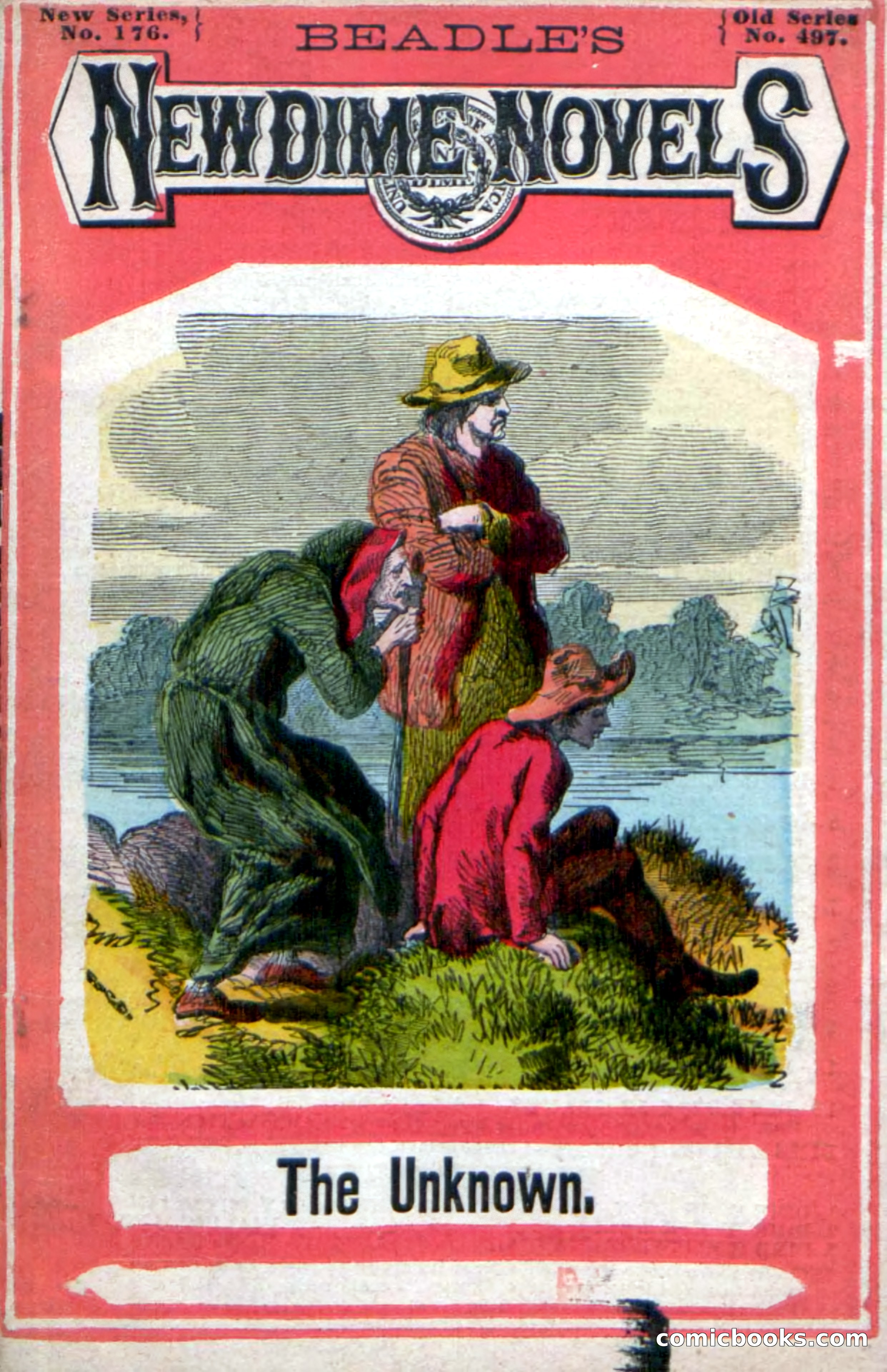 Beadle's New Dime Novels: The Unknown — page 113 of 121