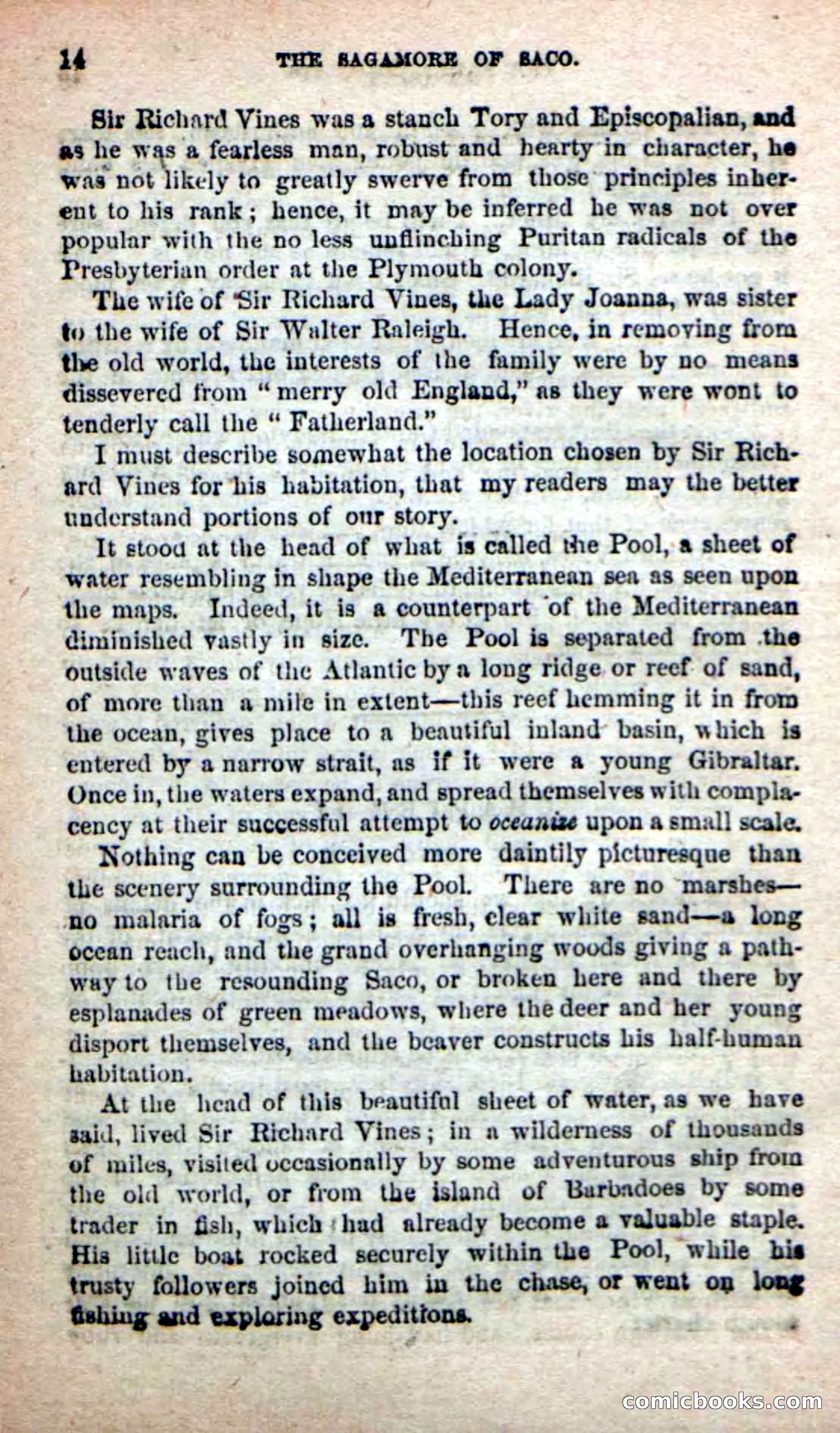 The Sagamore of Saco — page 10 of 99