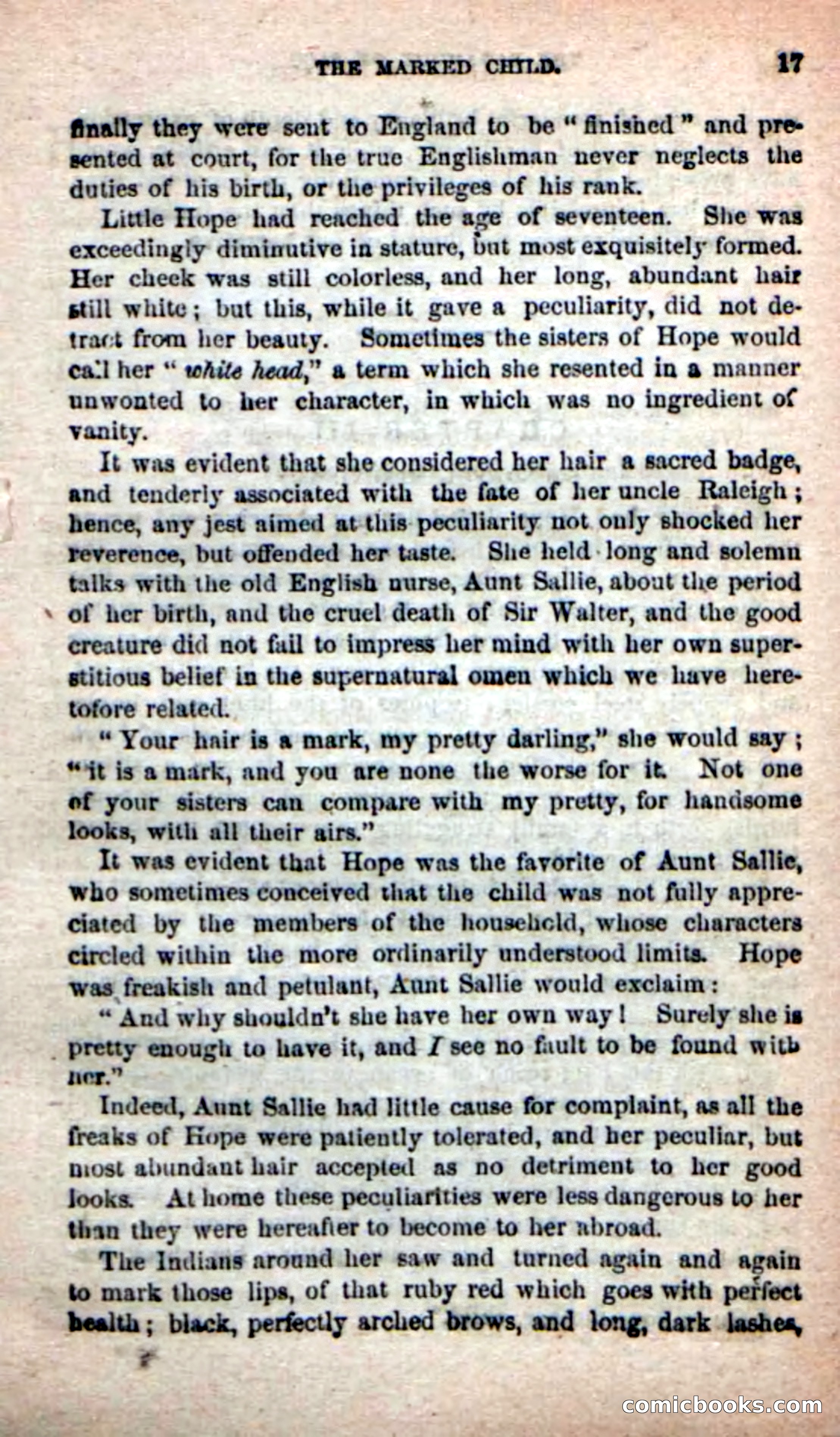 The Sagamore of Saco — page 13 of 99