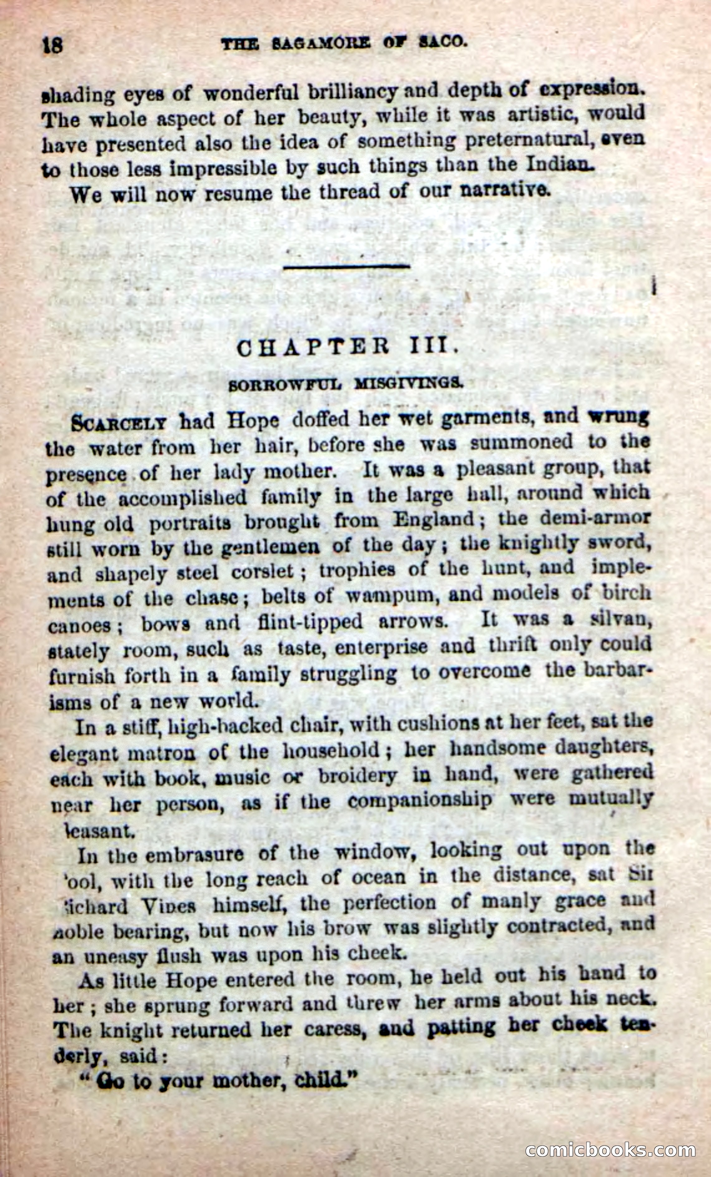 The Sagamore of Saco — page 14 of 99