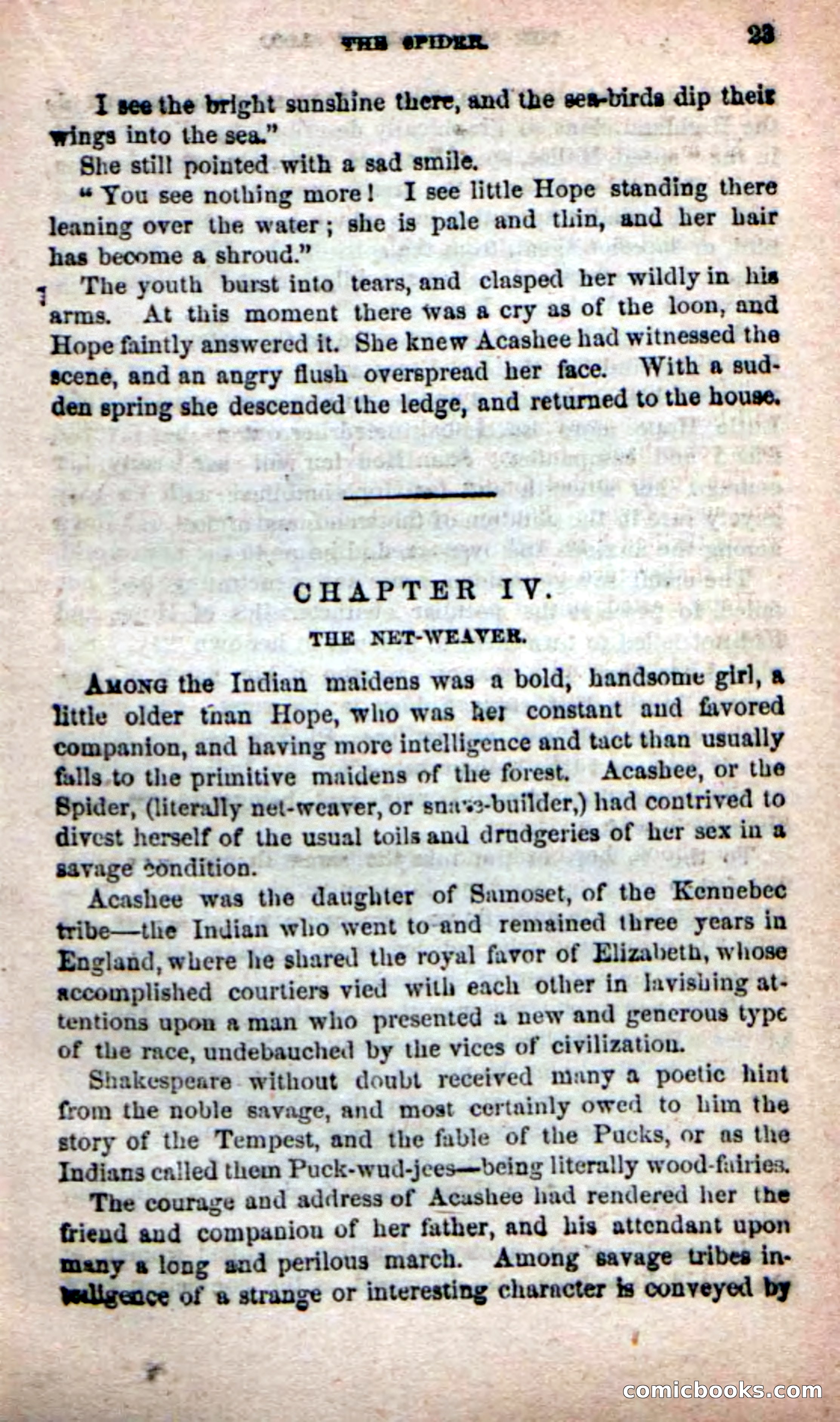 The Sagamore of Saco — page 19 of 99