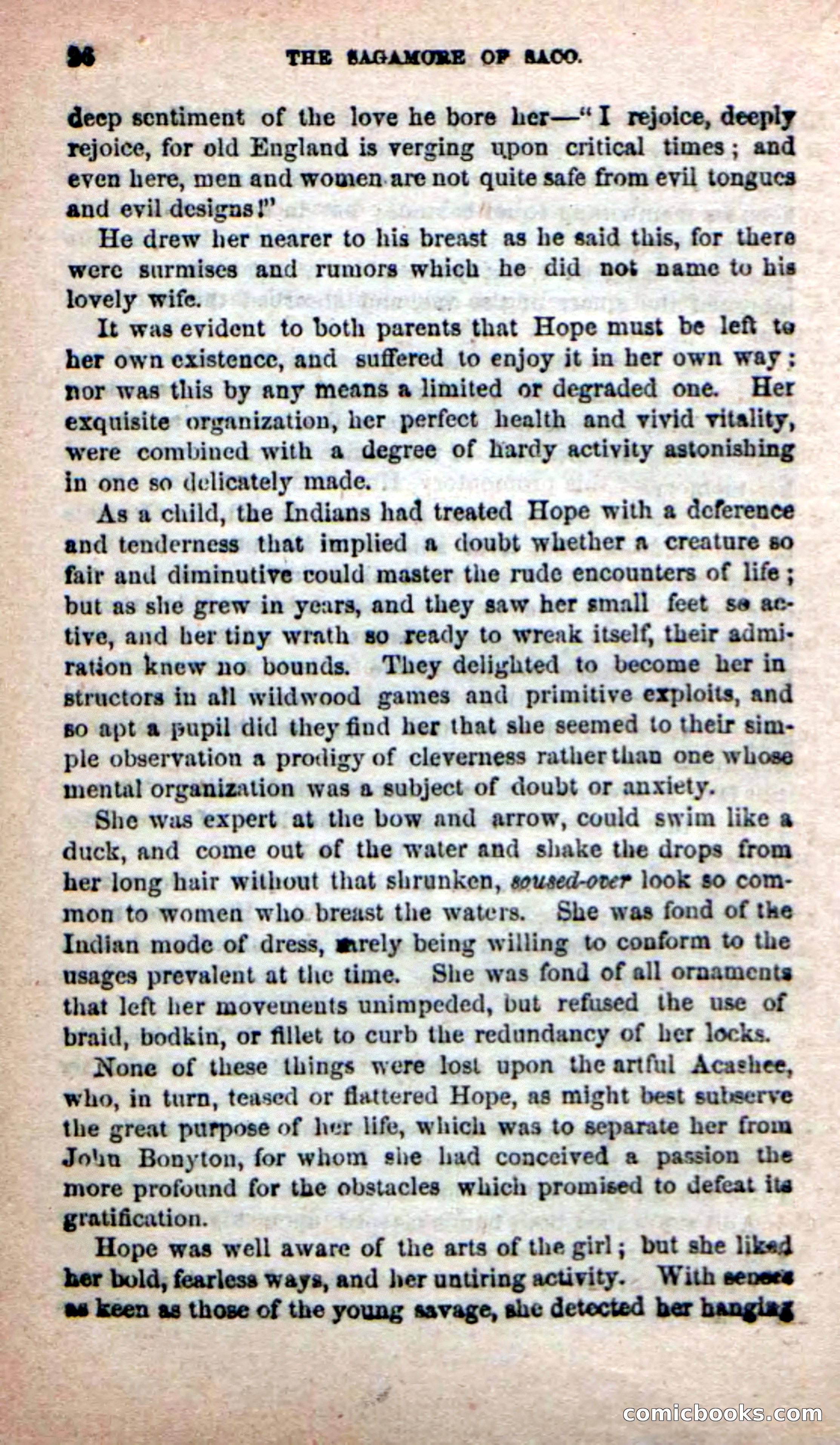 The Sagamore of Saco — page 22 of 99