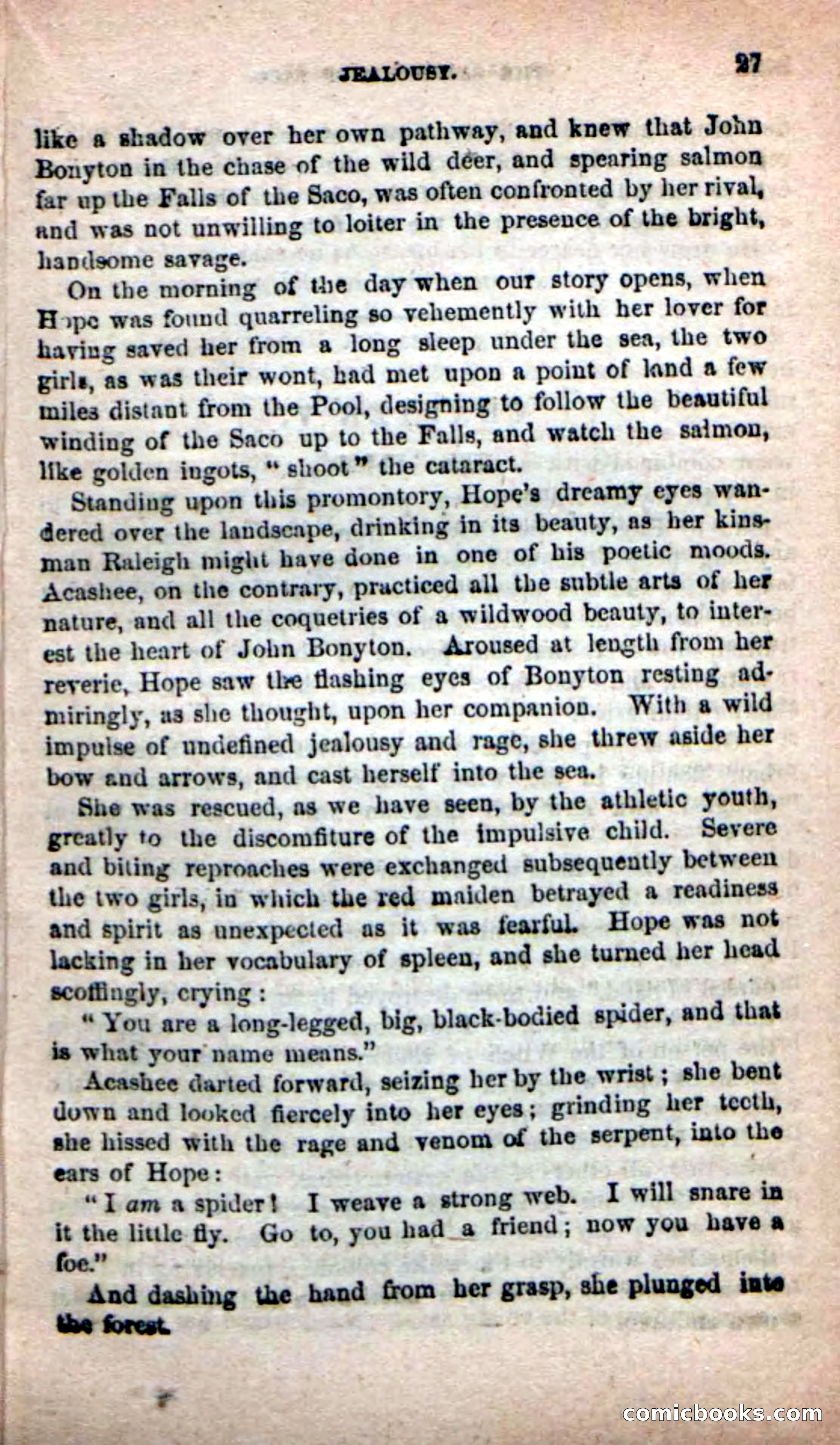 The Sagamore of Saco — page 23 of 99