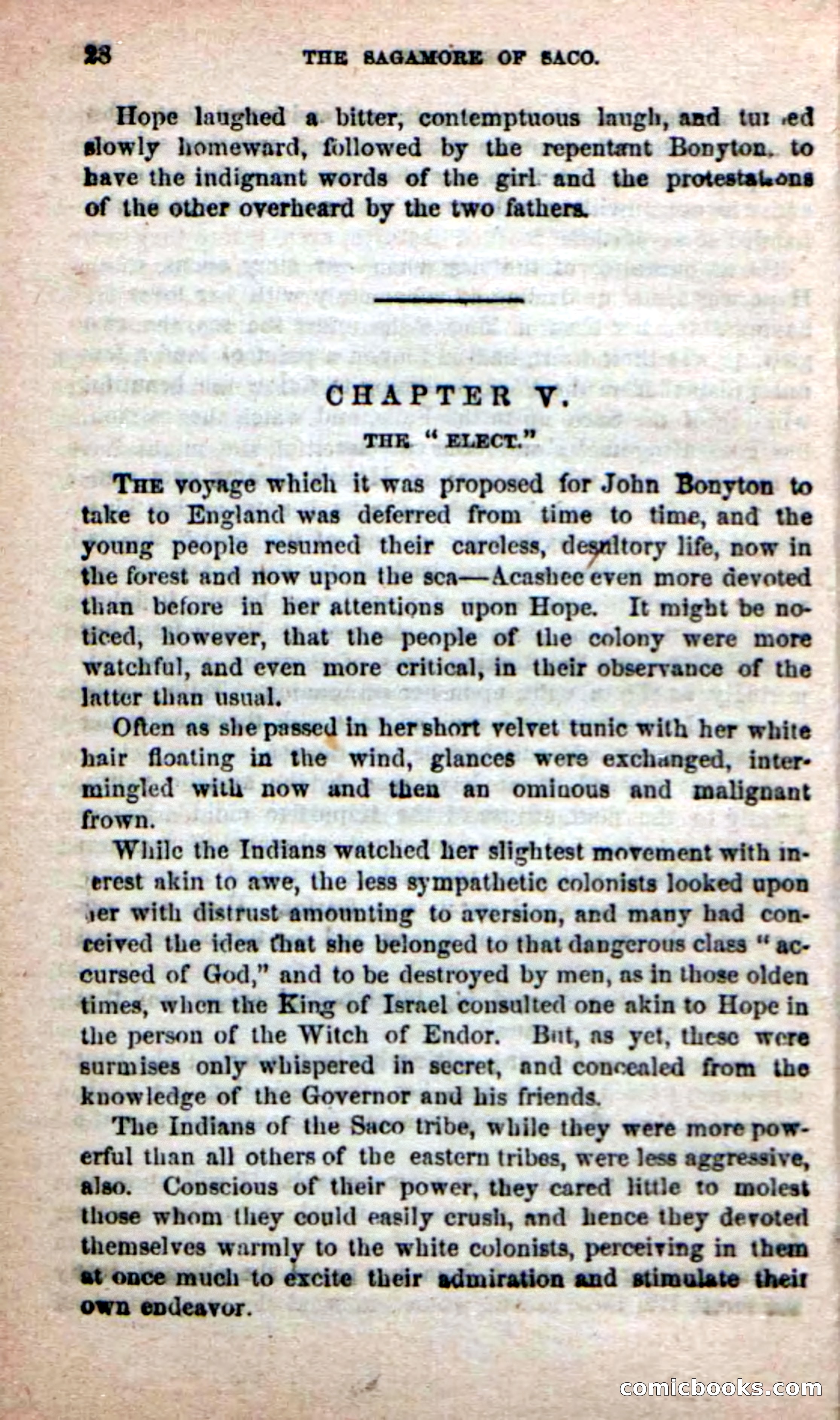 The Sagamore of Saco — page 24 of 99