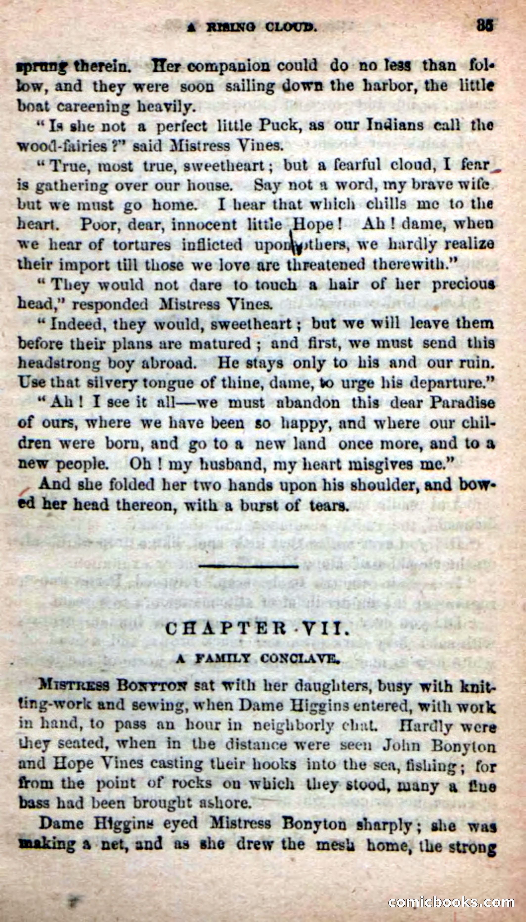 The Sagamore of Saco — page 31 of 99