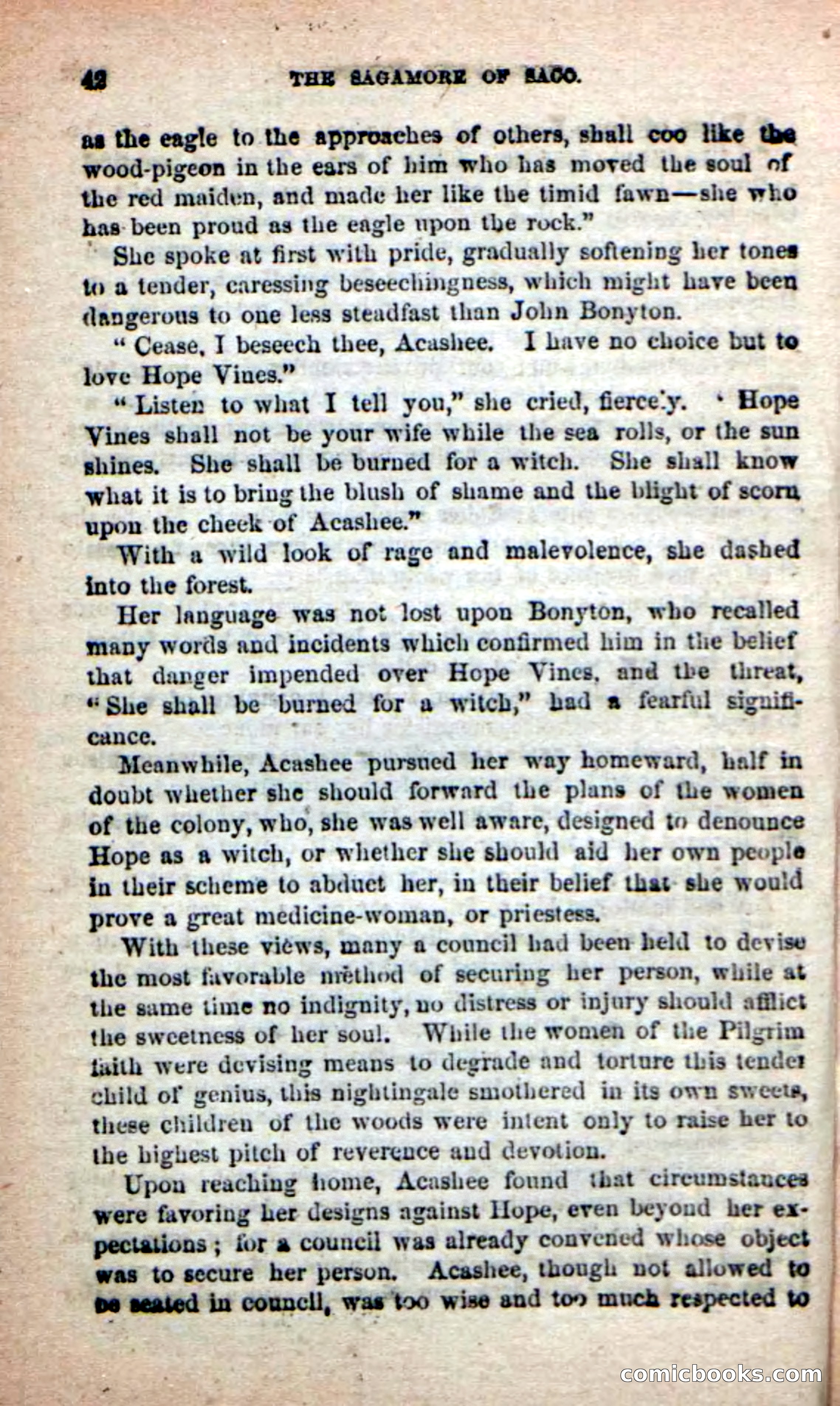The Sagamore of Saco — page 38 of 99