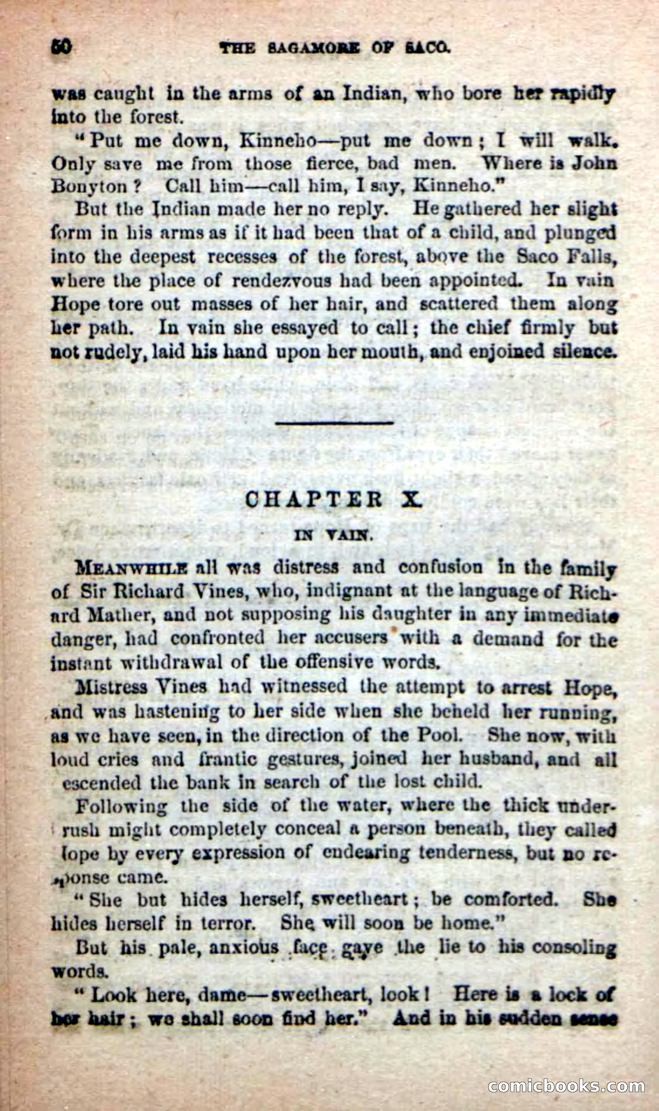 The Sagamore of Saco — page 46 of 99