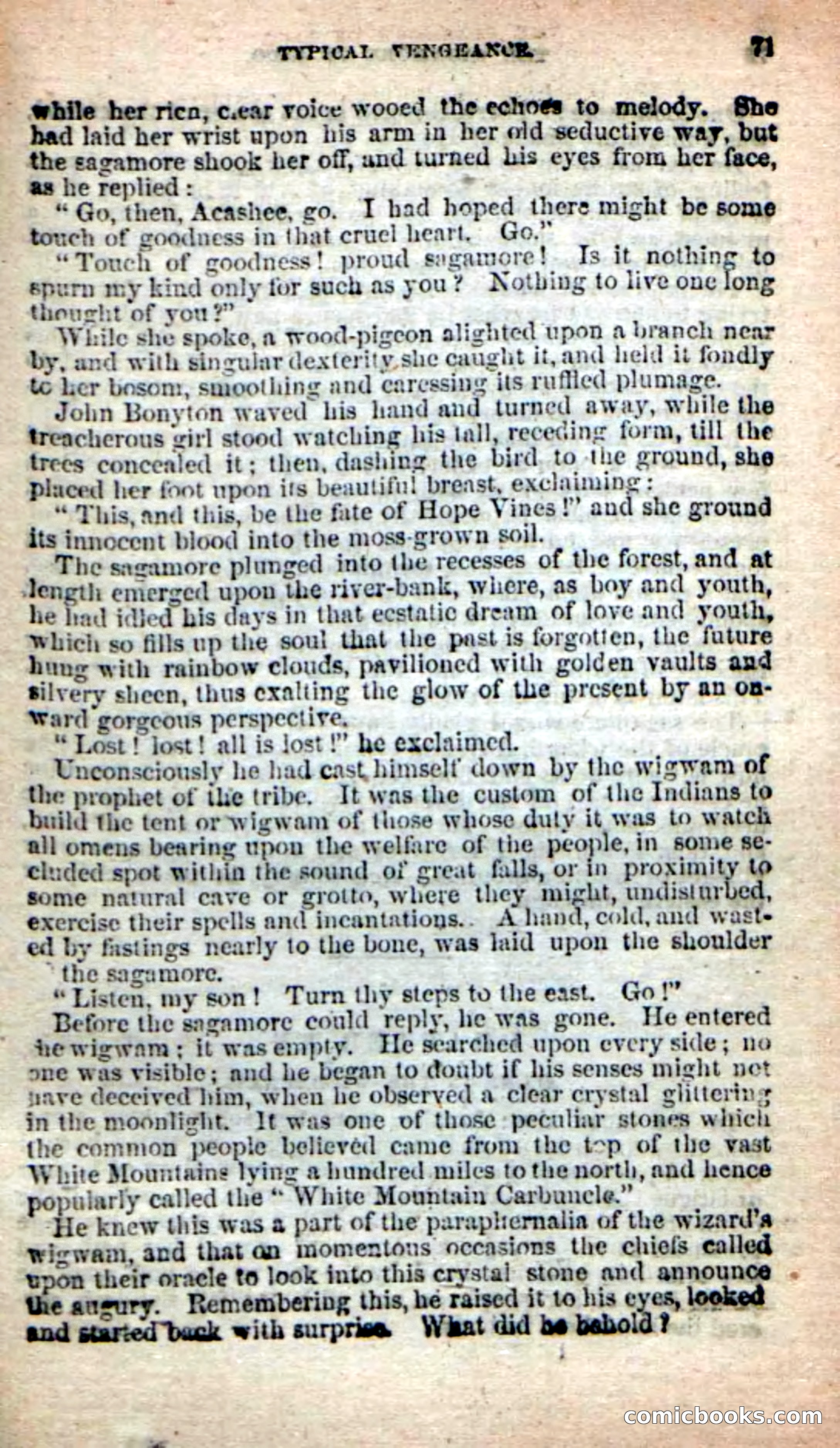 The Sagamore of Saco — page 67 of 99
