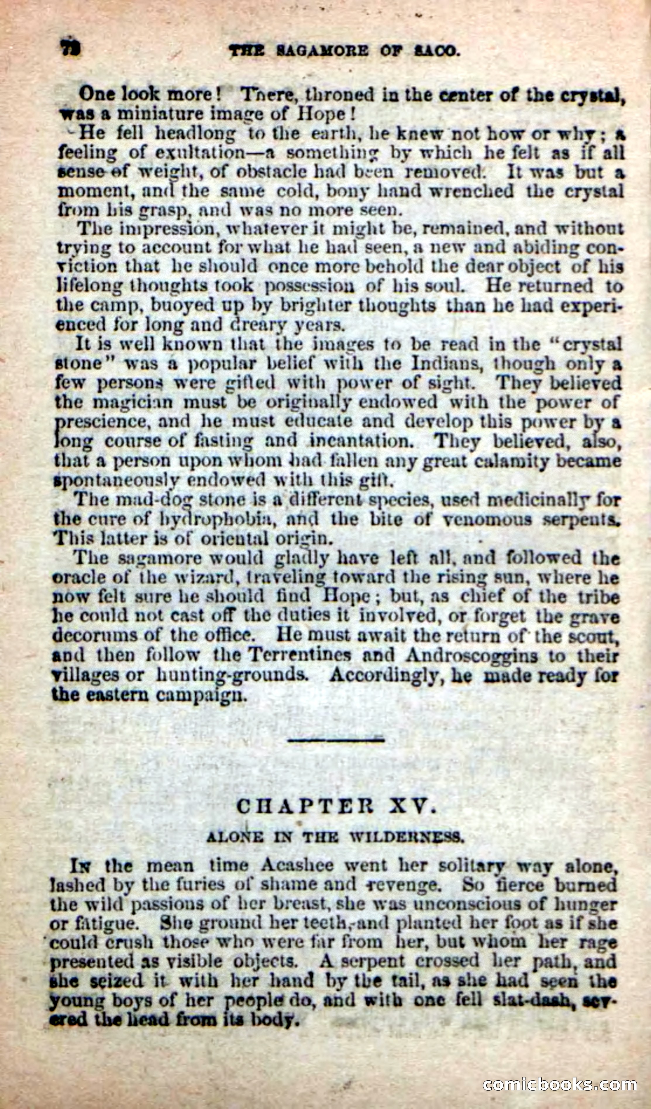The Sagamore of Saco — page 68 of 99