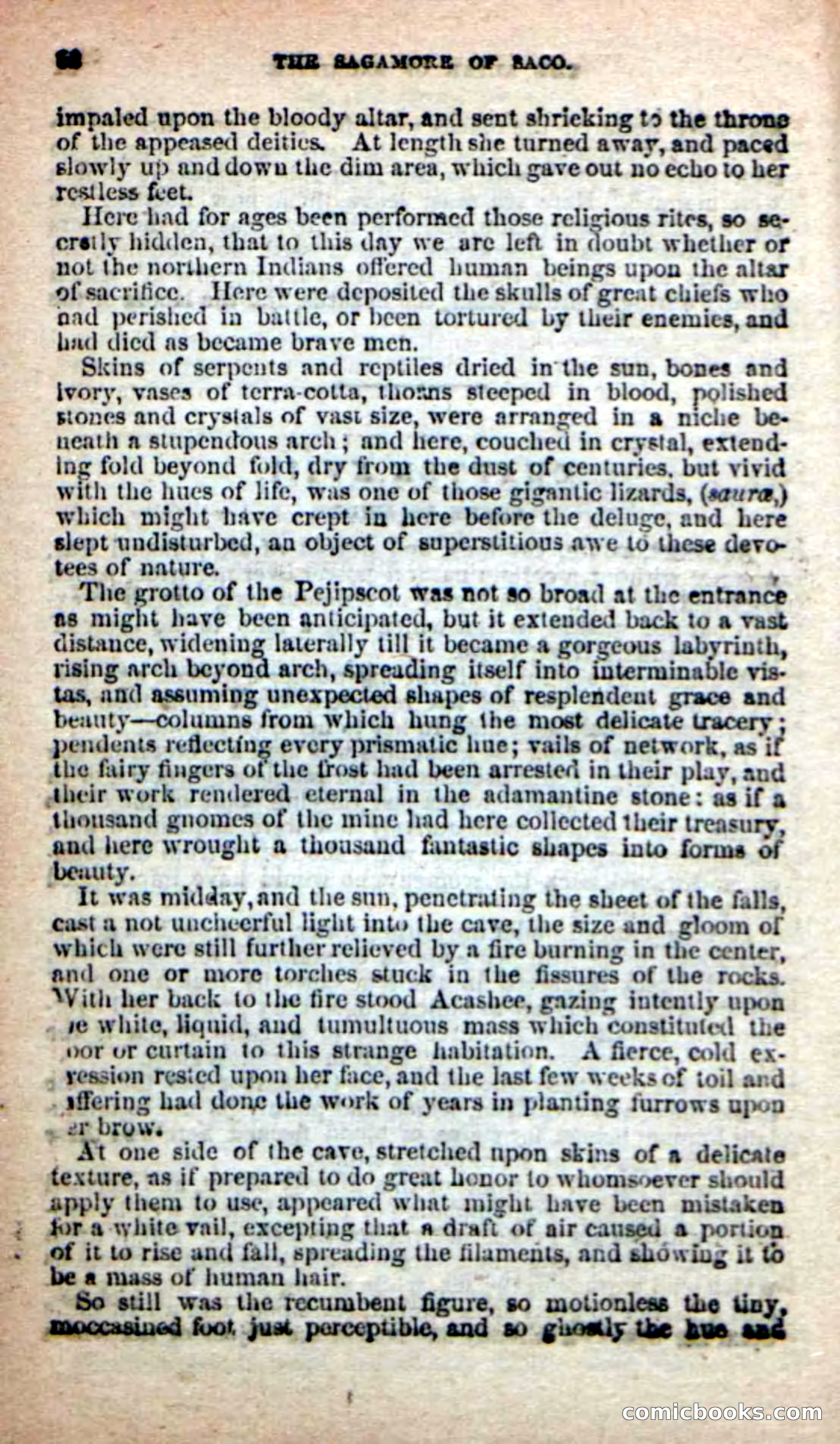 The Sagamore of Saco — page 78 of 99