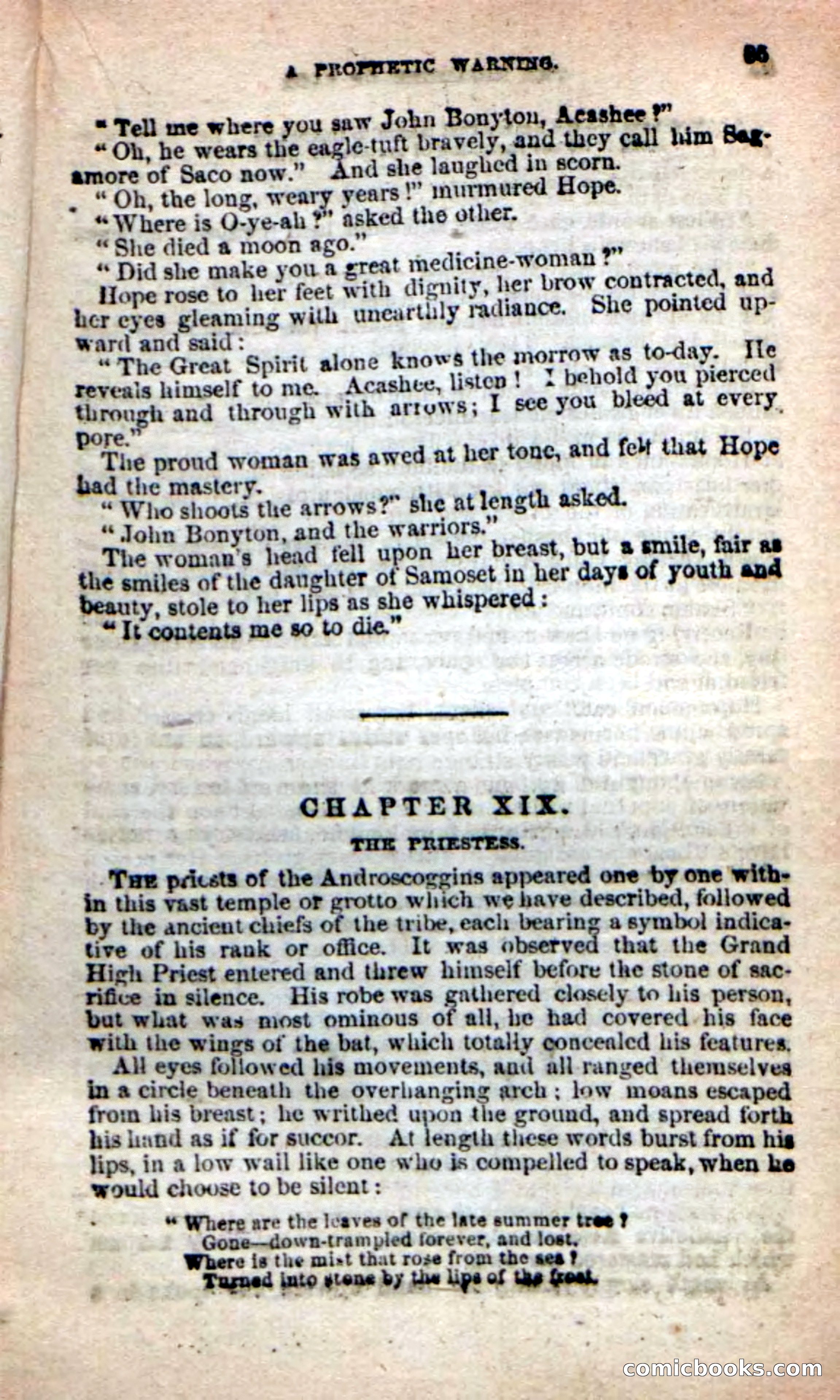 The Sagamore of Saco — page 81 of 99