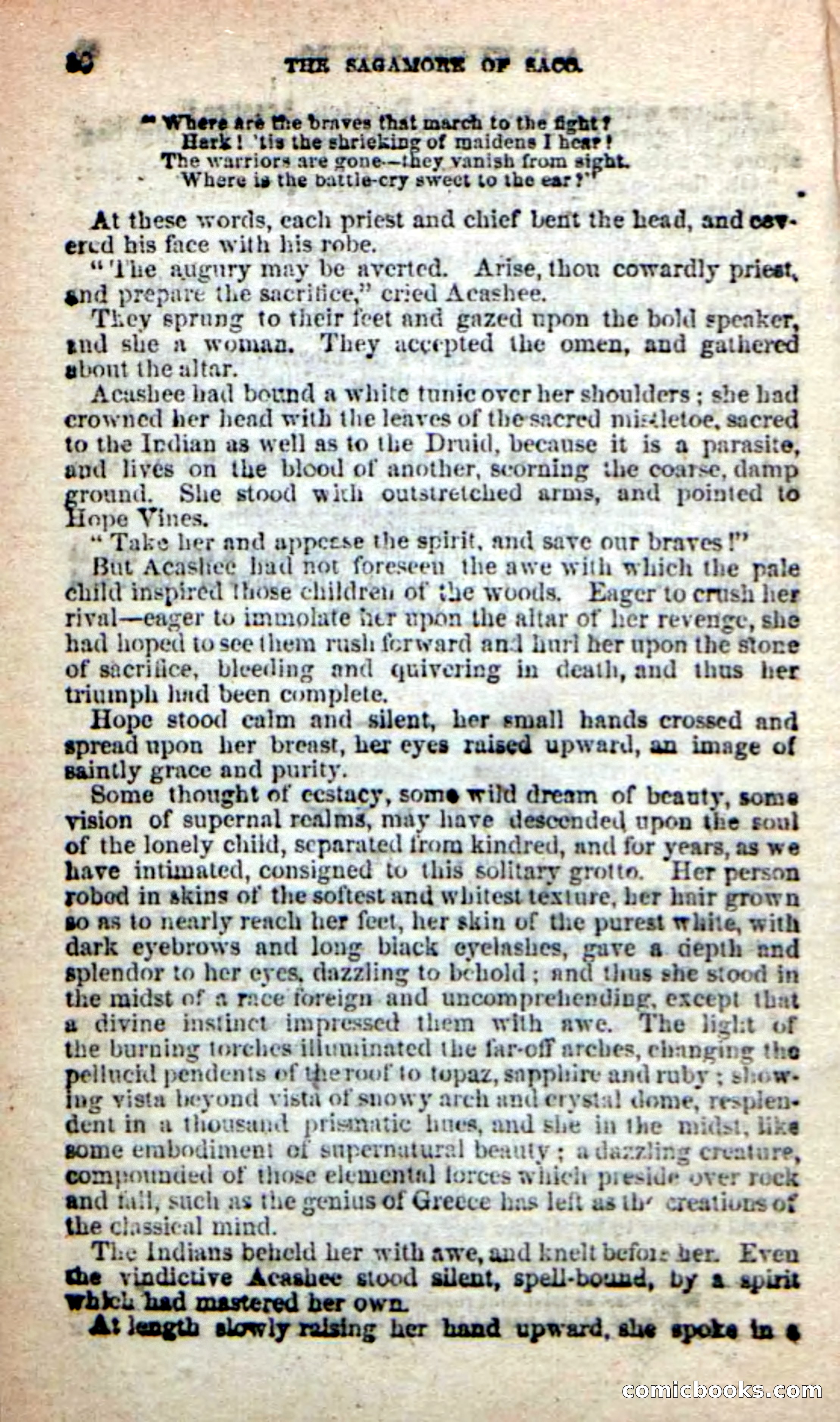 The Sagamore of Saco — page 82 of 99