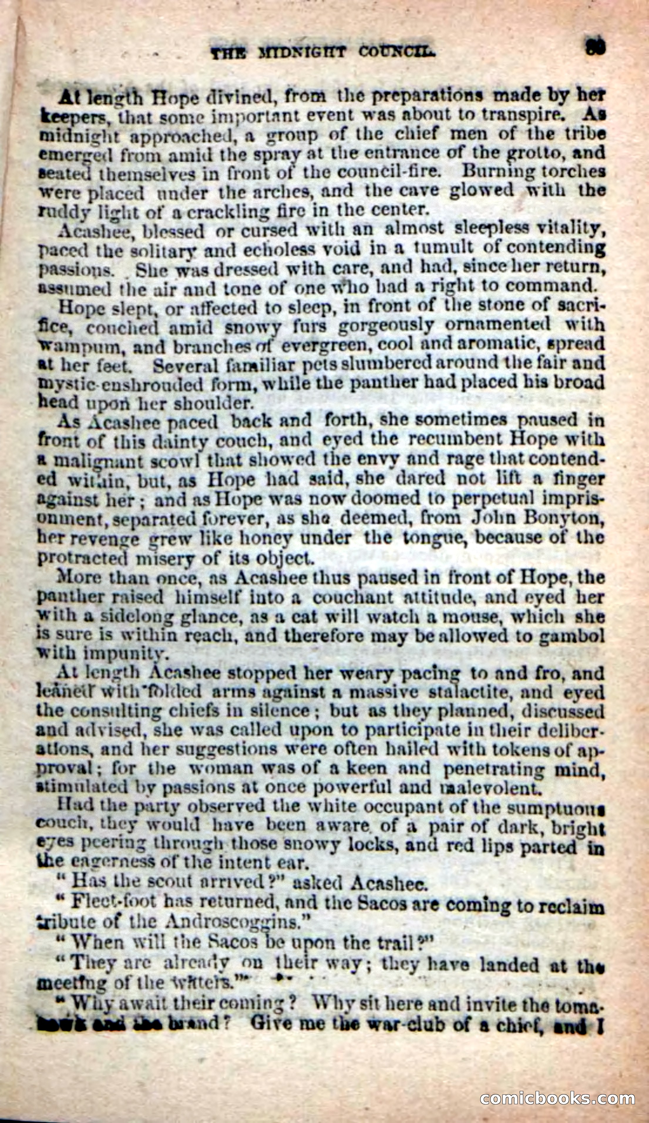 The Sagamore of Saco — page 85 of 99