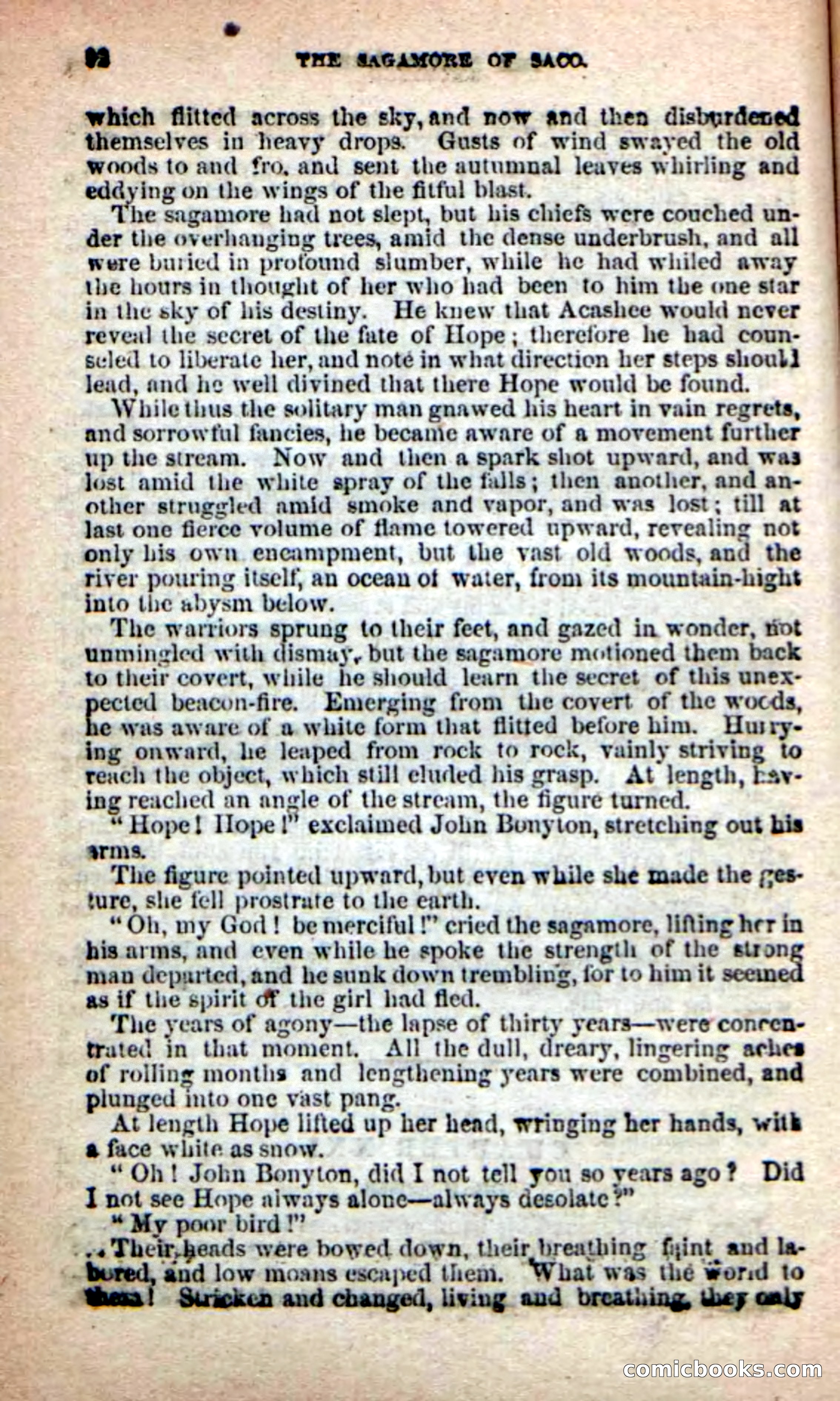 The Sagamore of Saco — page 88 of 99