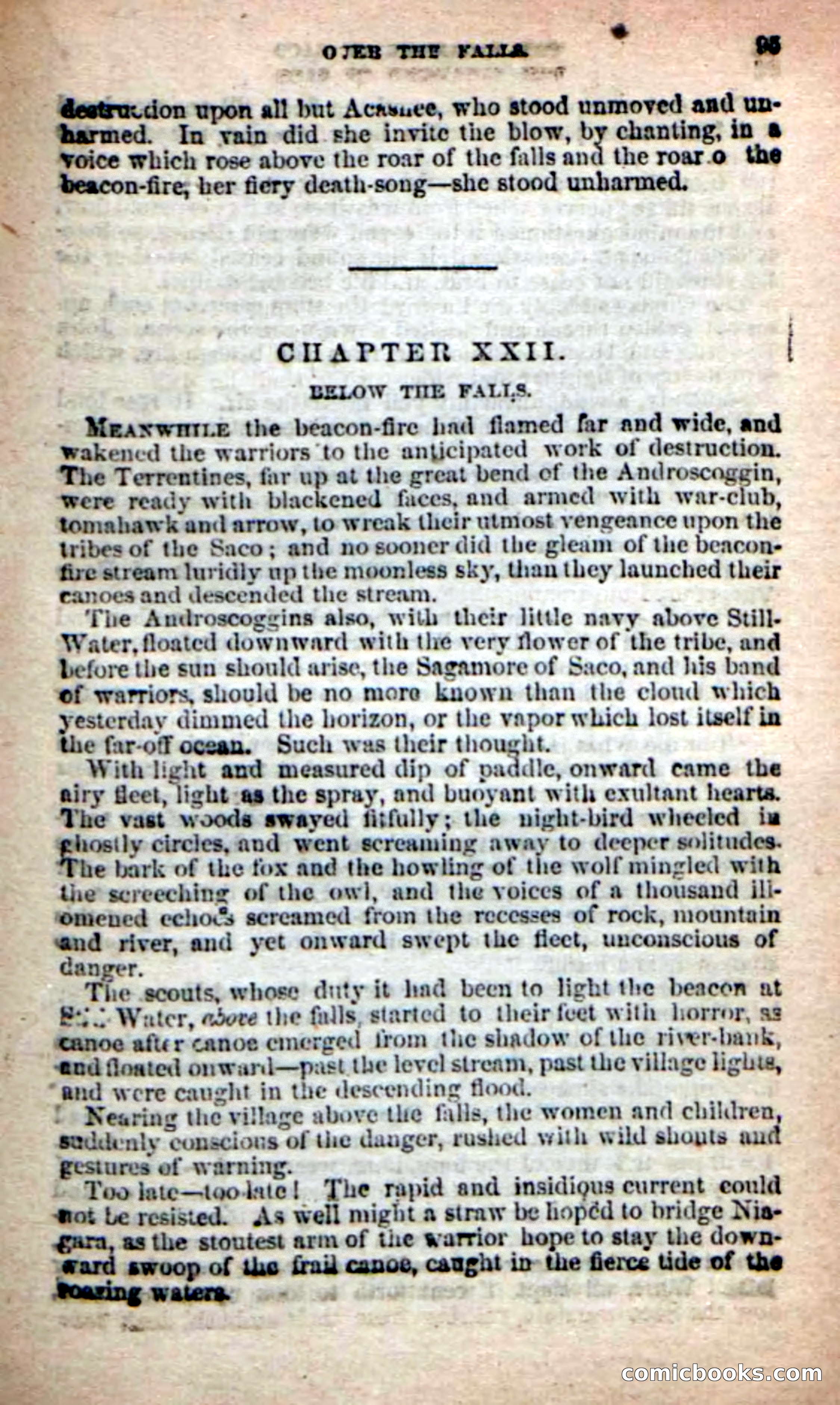 The Sagamore of Saco — page 91 of 99
