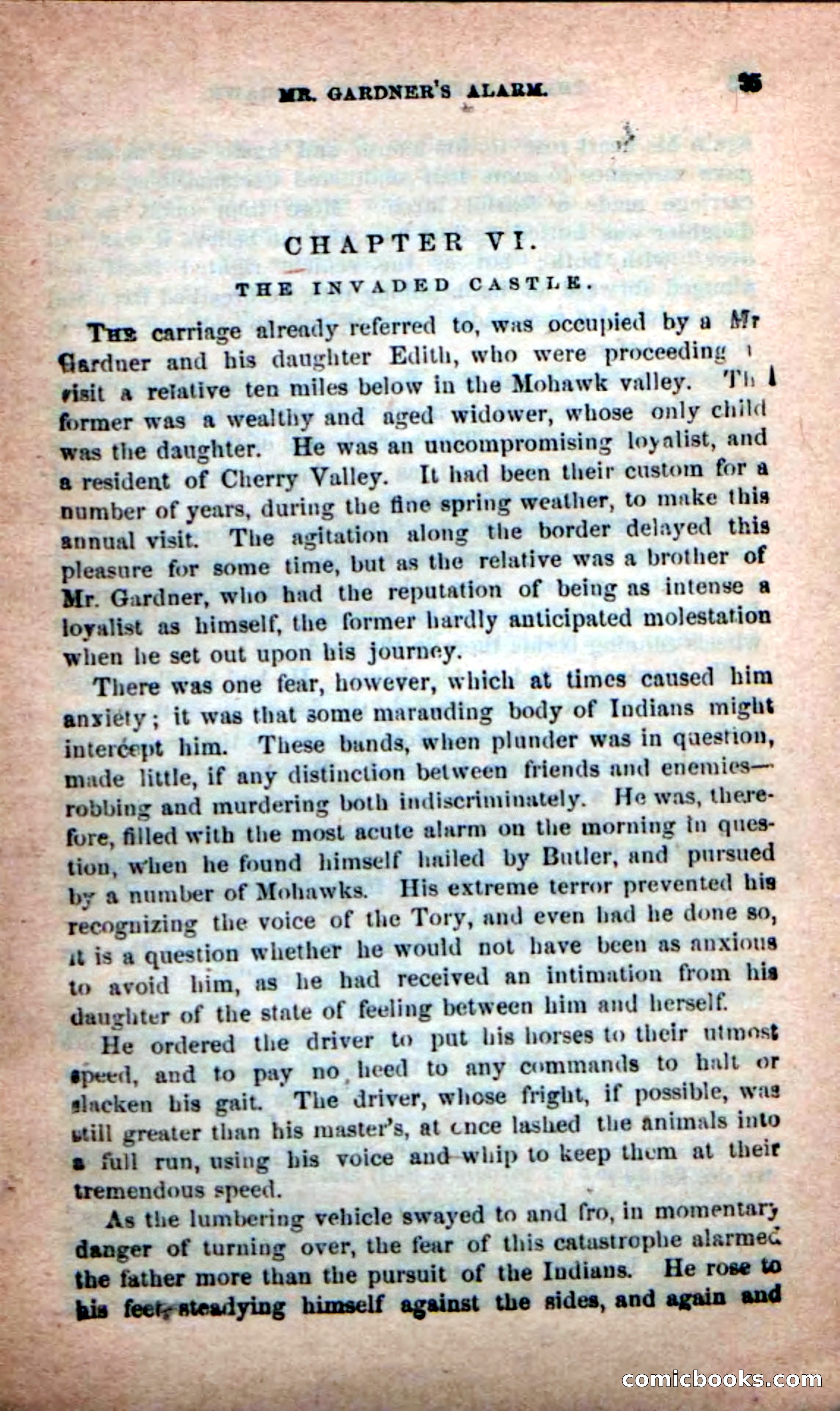 Beadle's New Dime Novels: Rangers of the Mohawk — page 25 of 108