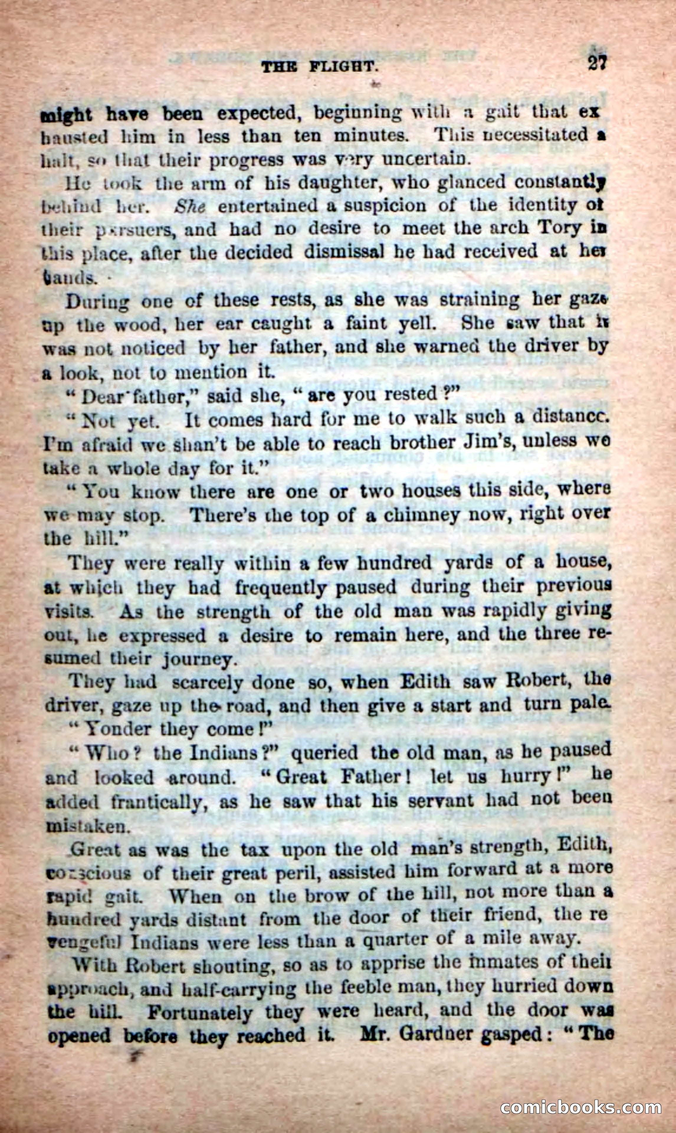 Beadle's New Dime Novels: Rangers of the Mohawk — page 27 of 108