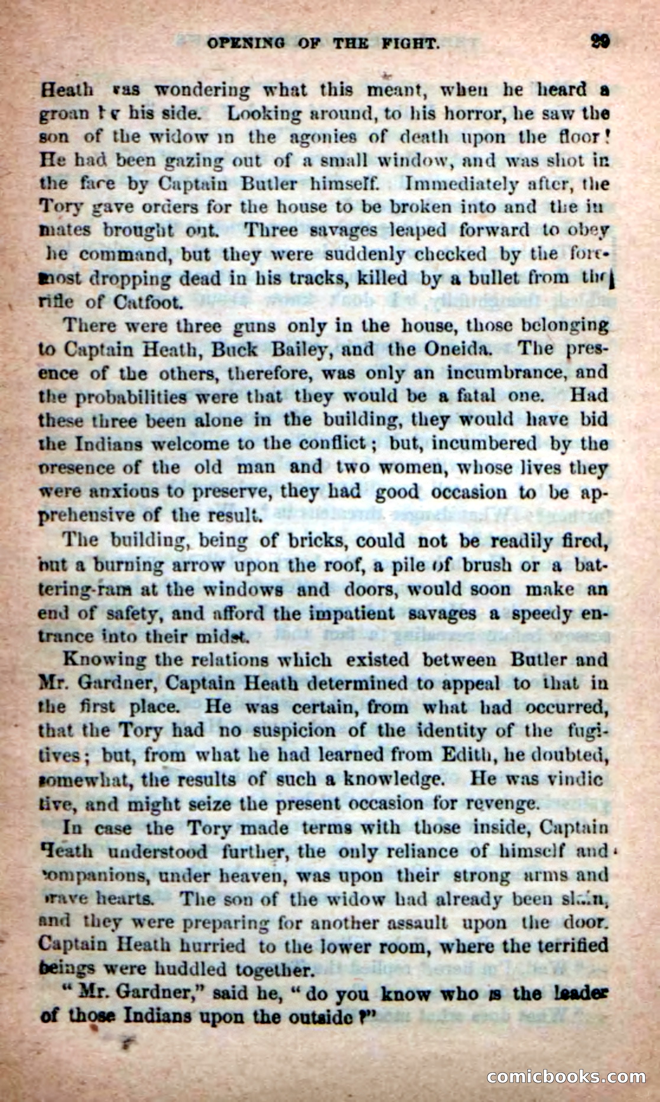 Beadle's New Dime Novels: Rangers of the Mohawk — page 29 of 108