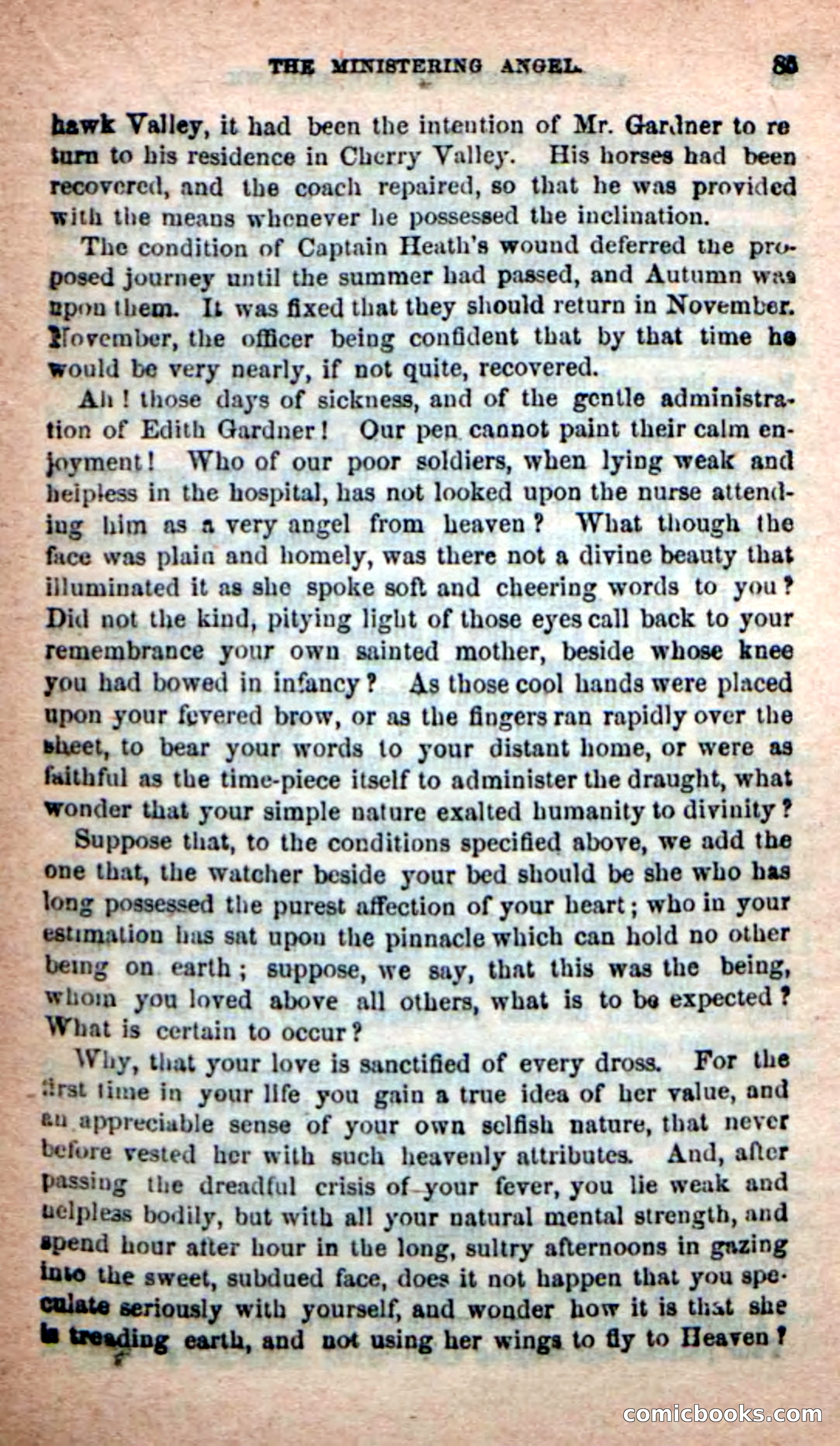 Beadle's New Dime Novels: Rangers of the Mohawk — page 85 of 108